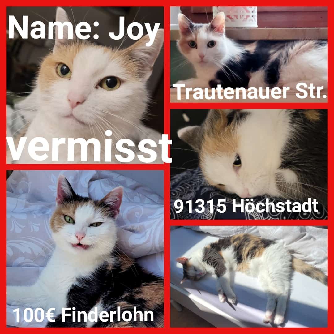 Joy - Trautenauer Straße, Höchstadt an der Aisch