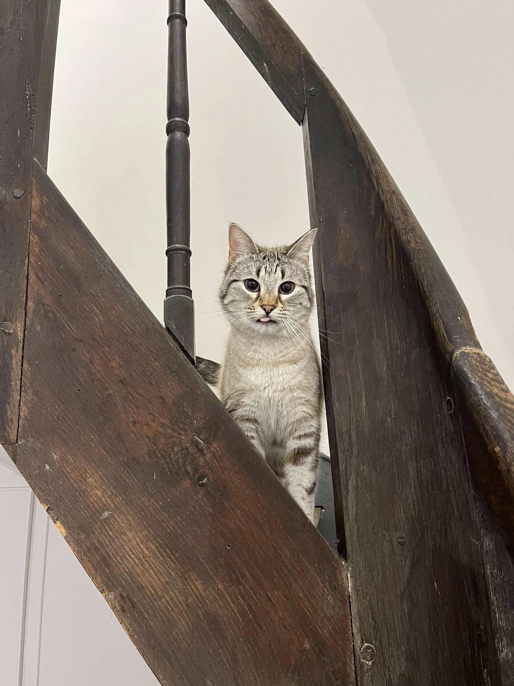 Unik - Rue de la Gare de Debord, Moulins