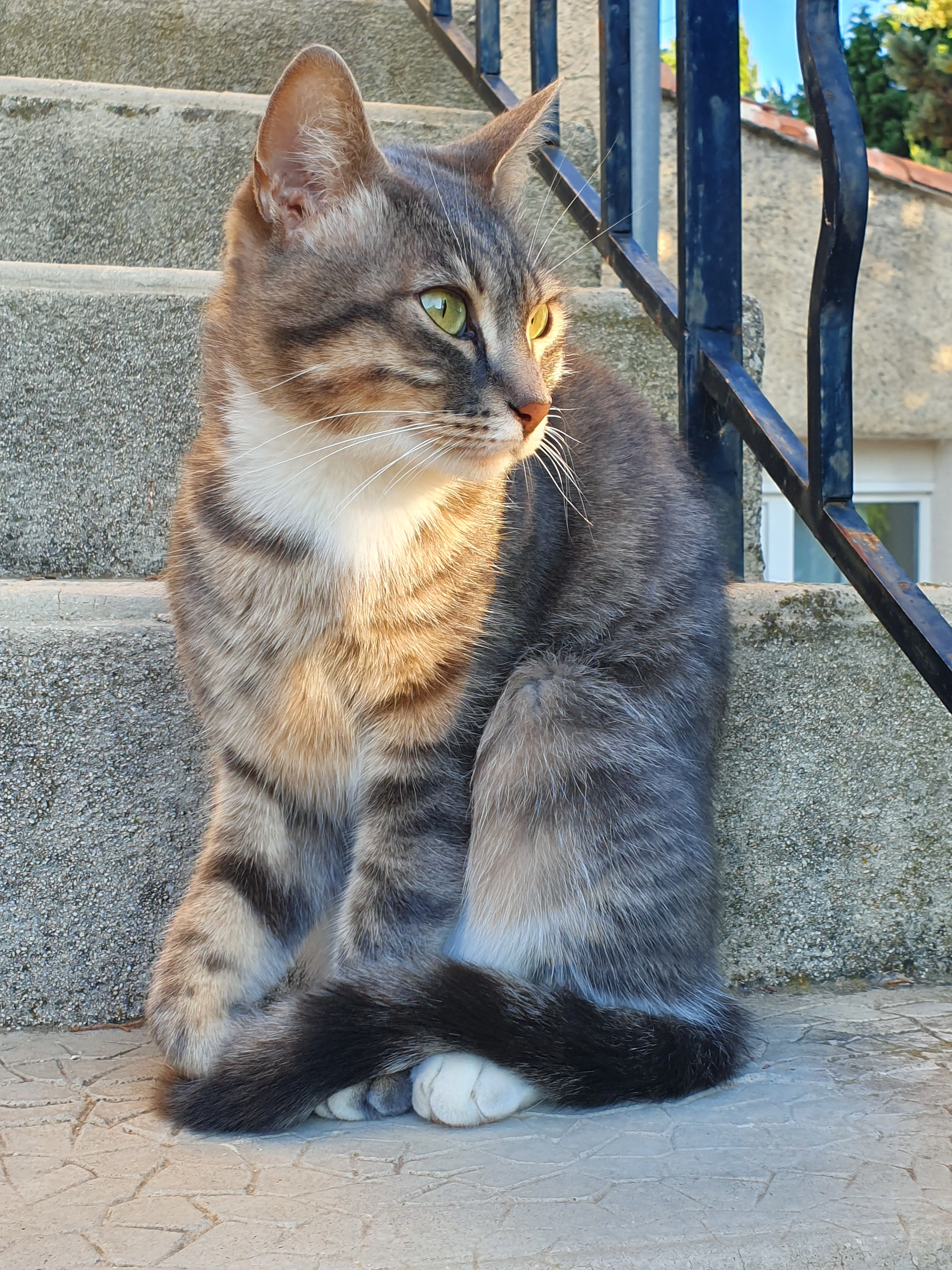 Cerise - 2384 Chemin d'Éguilles, Aix-en-Provence