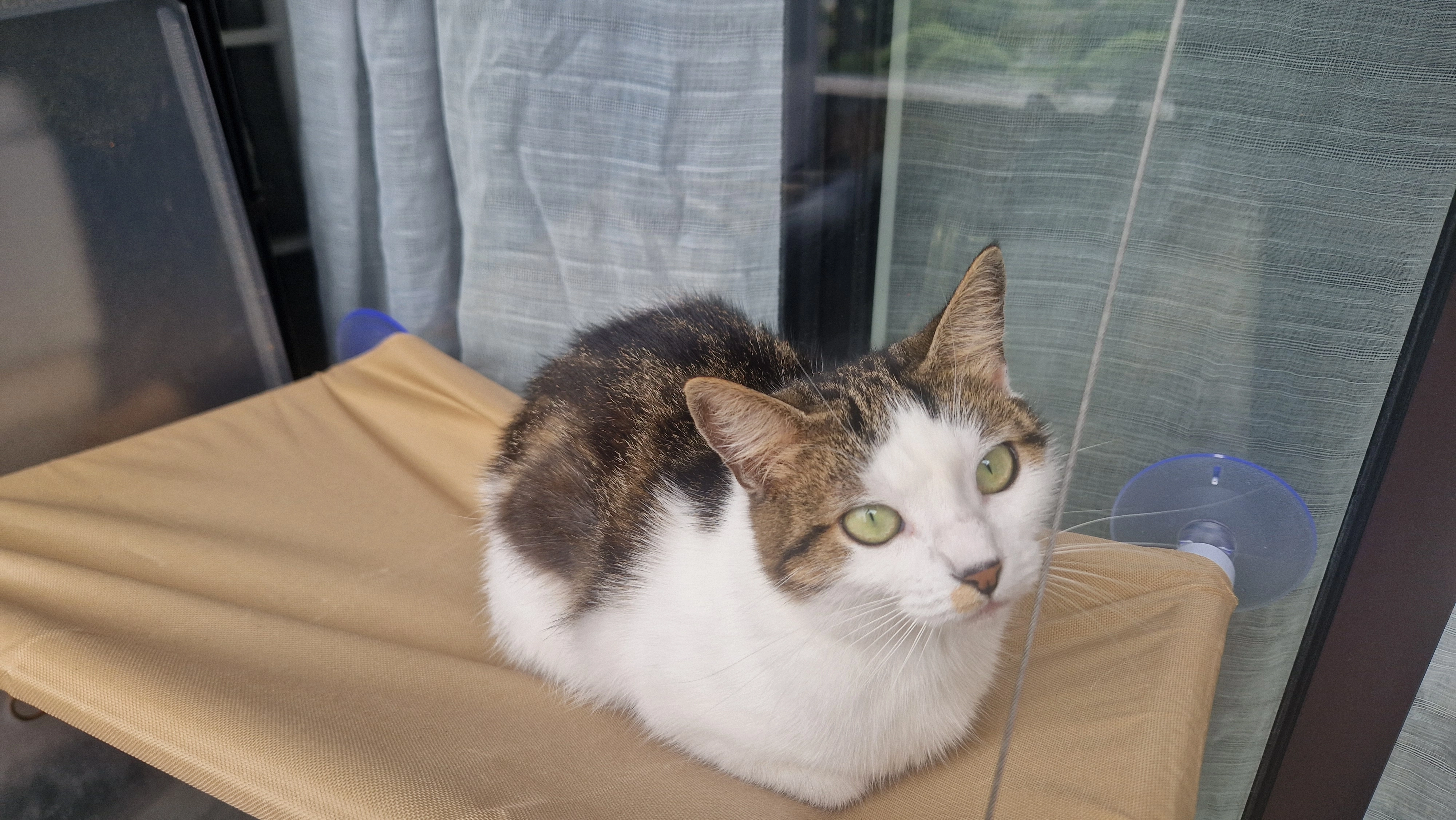 Flayou - 9 Rue Jules Ferry, Boulogne-Billancourt