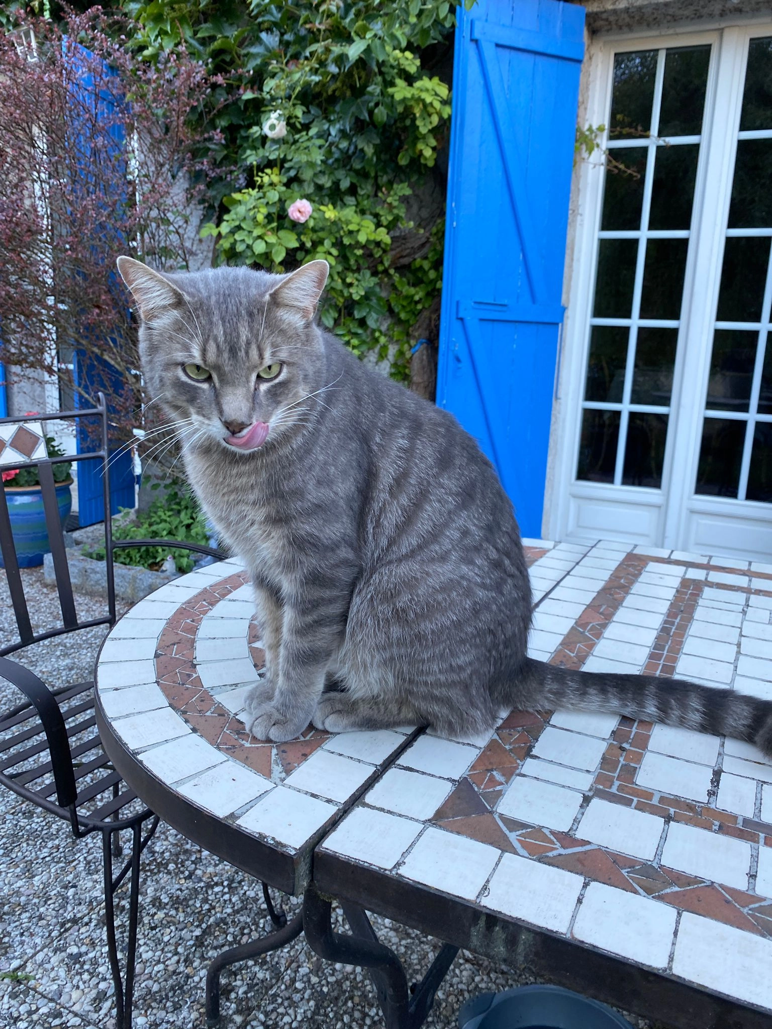 Tofu - Rue du Port, Mériel