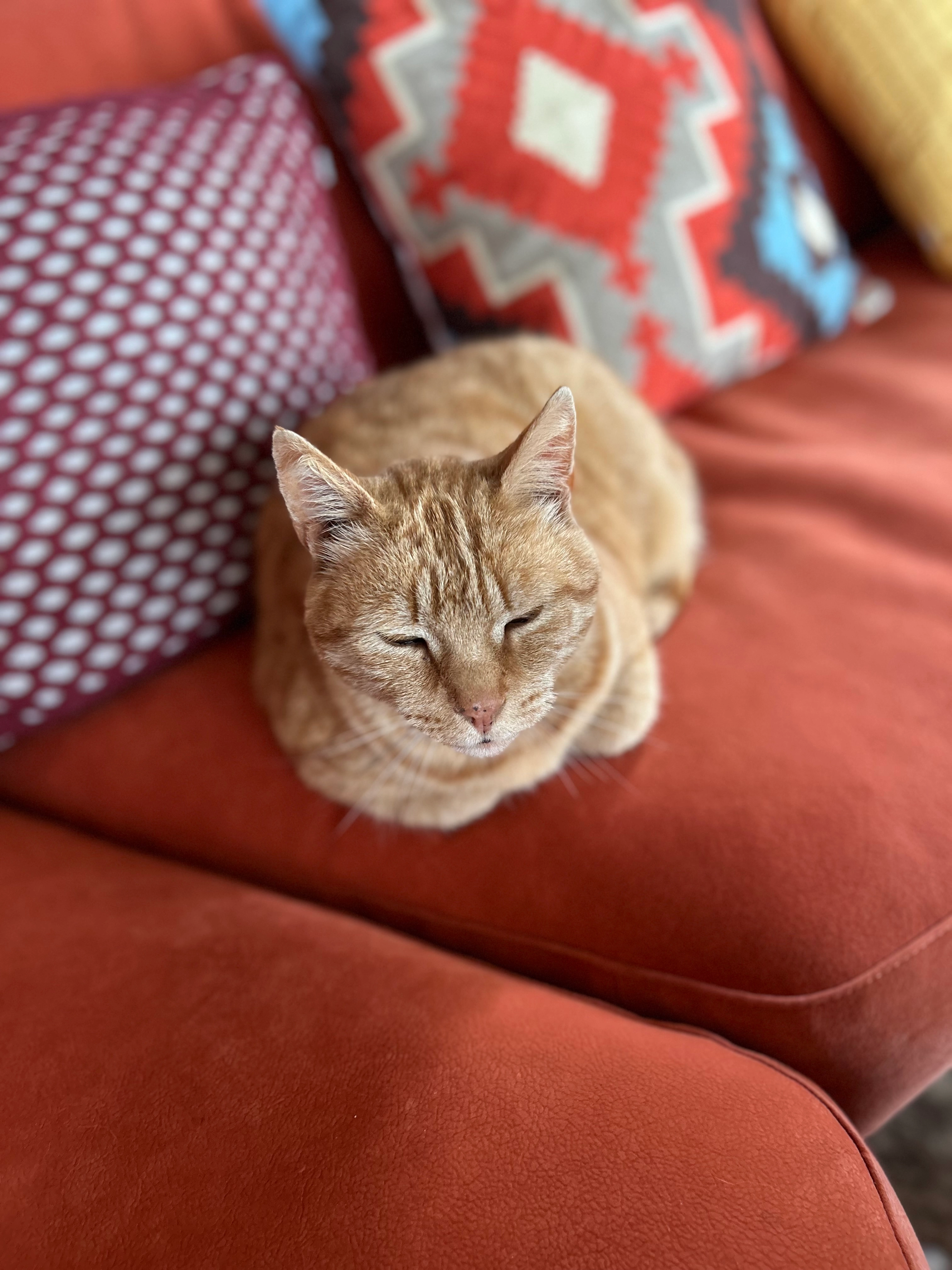 Sparky - Hessenweg, Overijssel