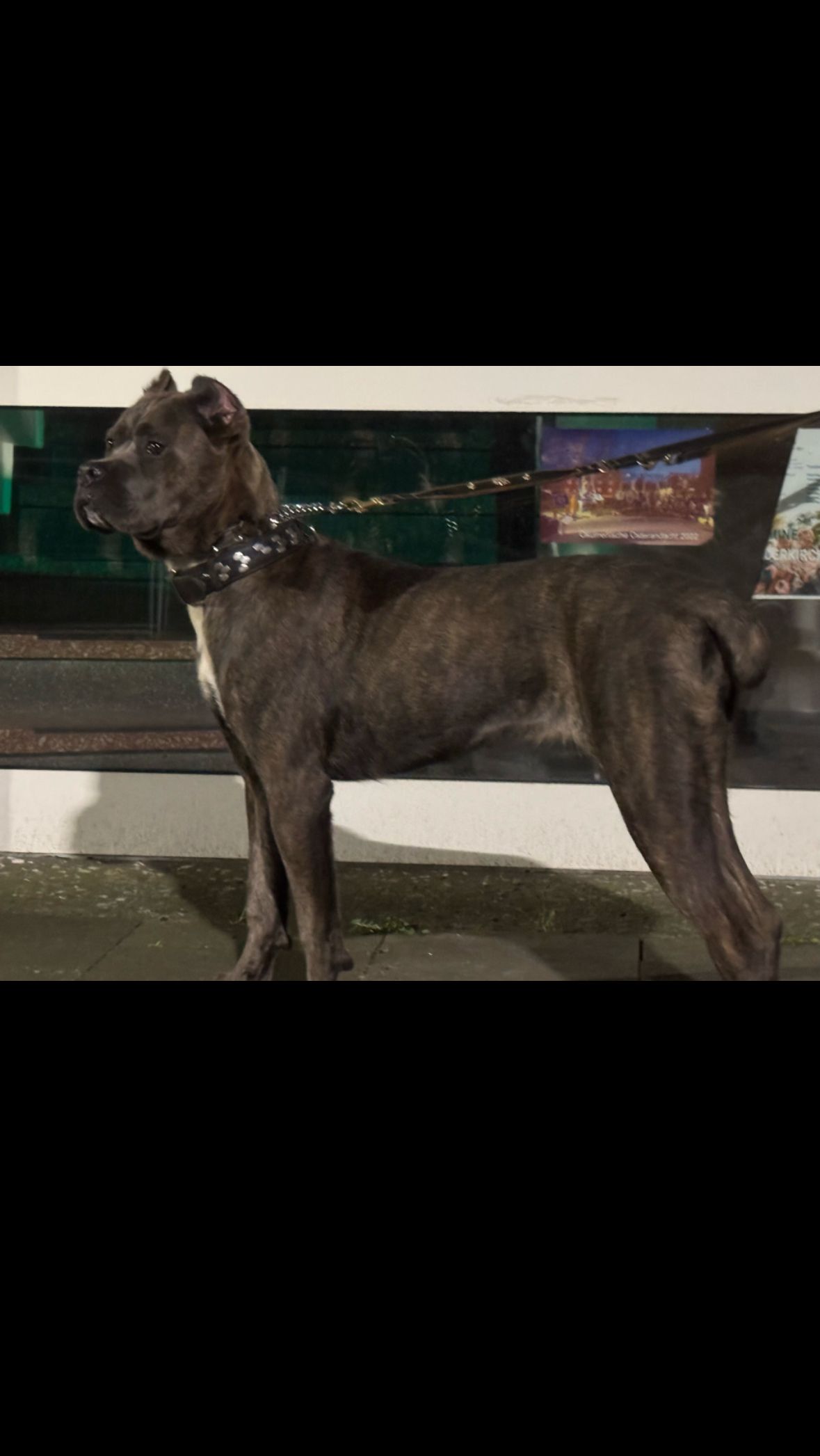 RAYA - Im Bühler Feld, Freudenberg