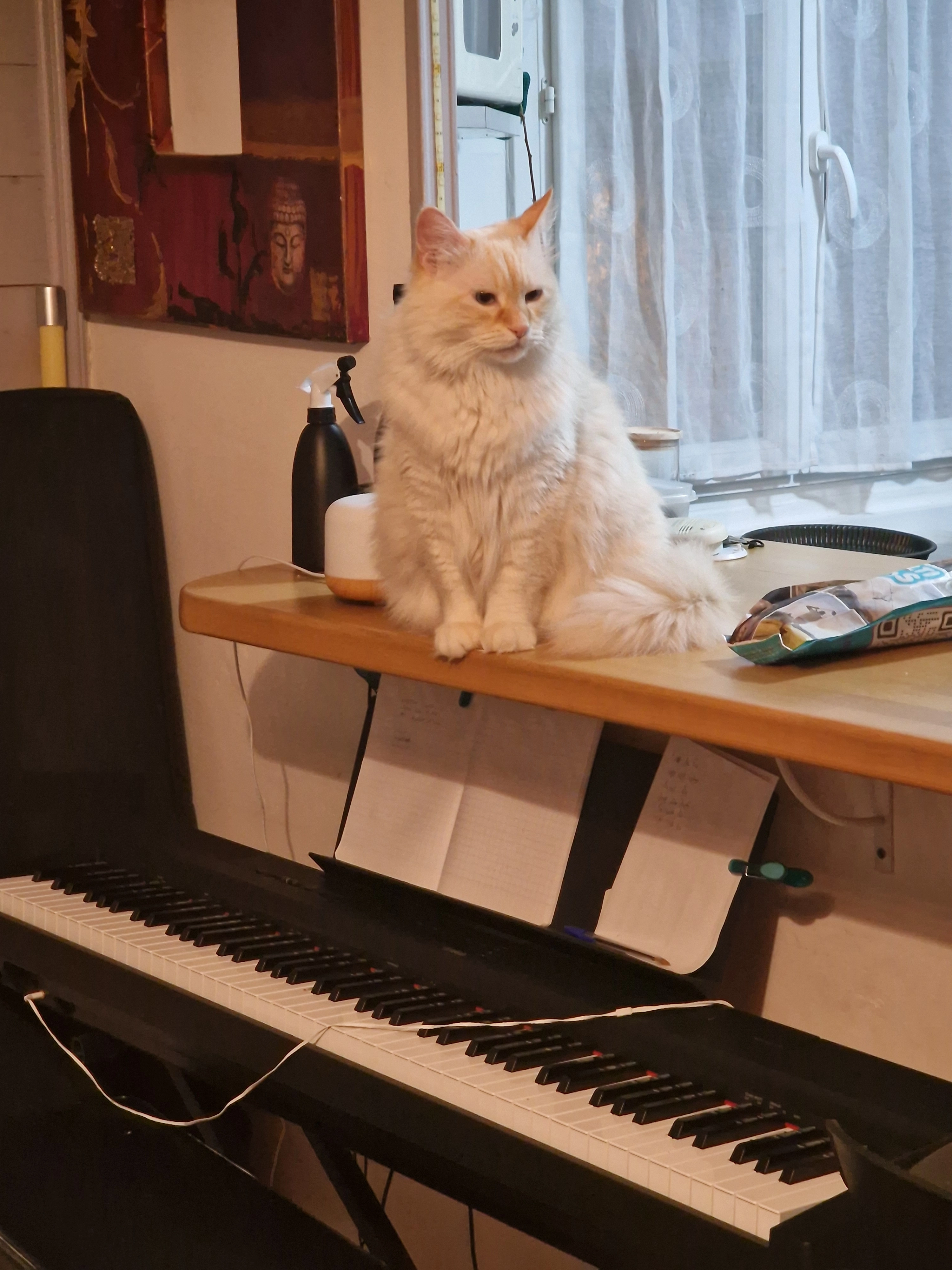 Guneş - 40 Avenue de France, Marnaz