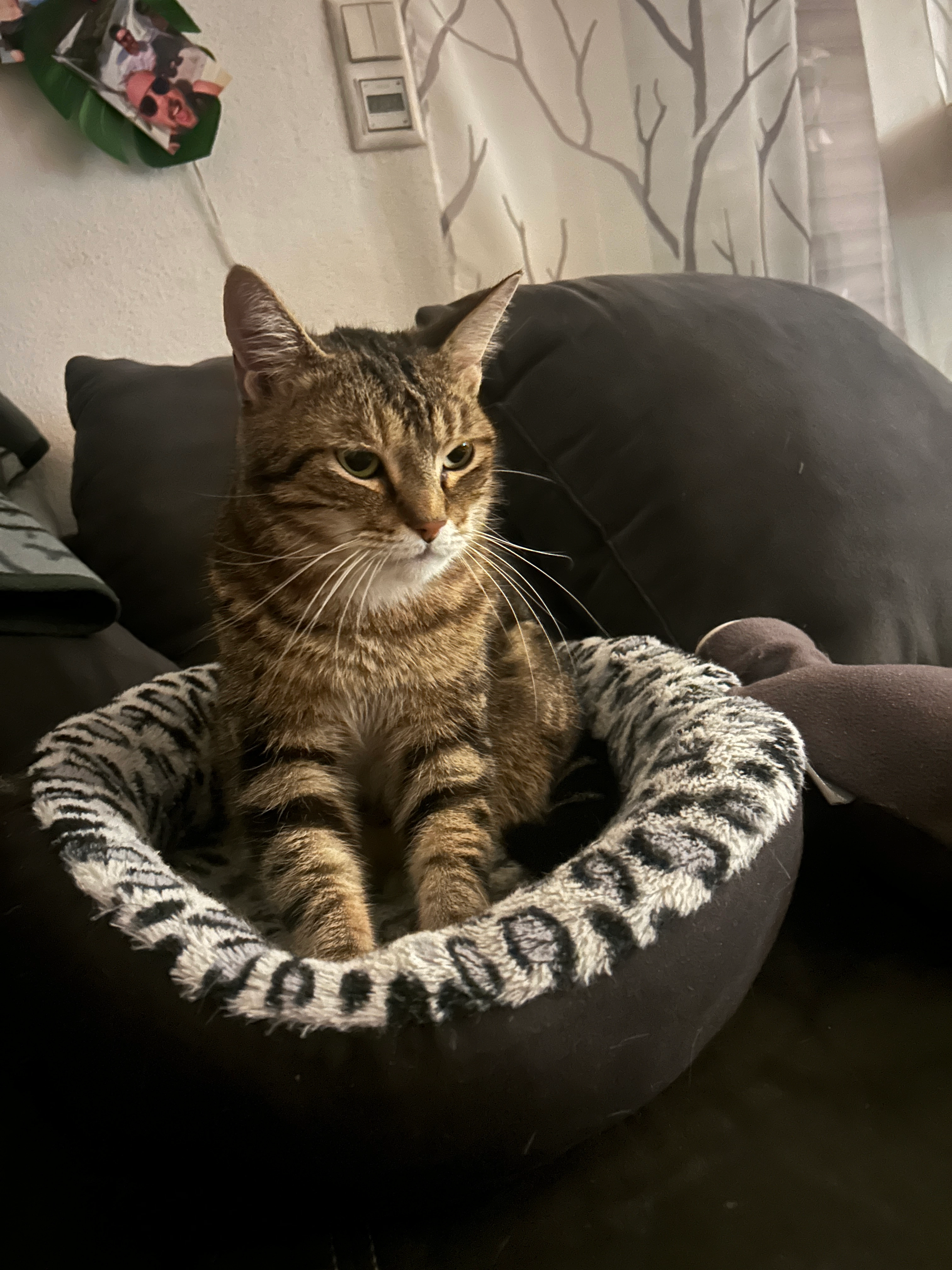 Oscar - Hannathstraße, Schwandorf