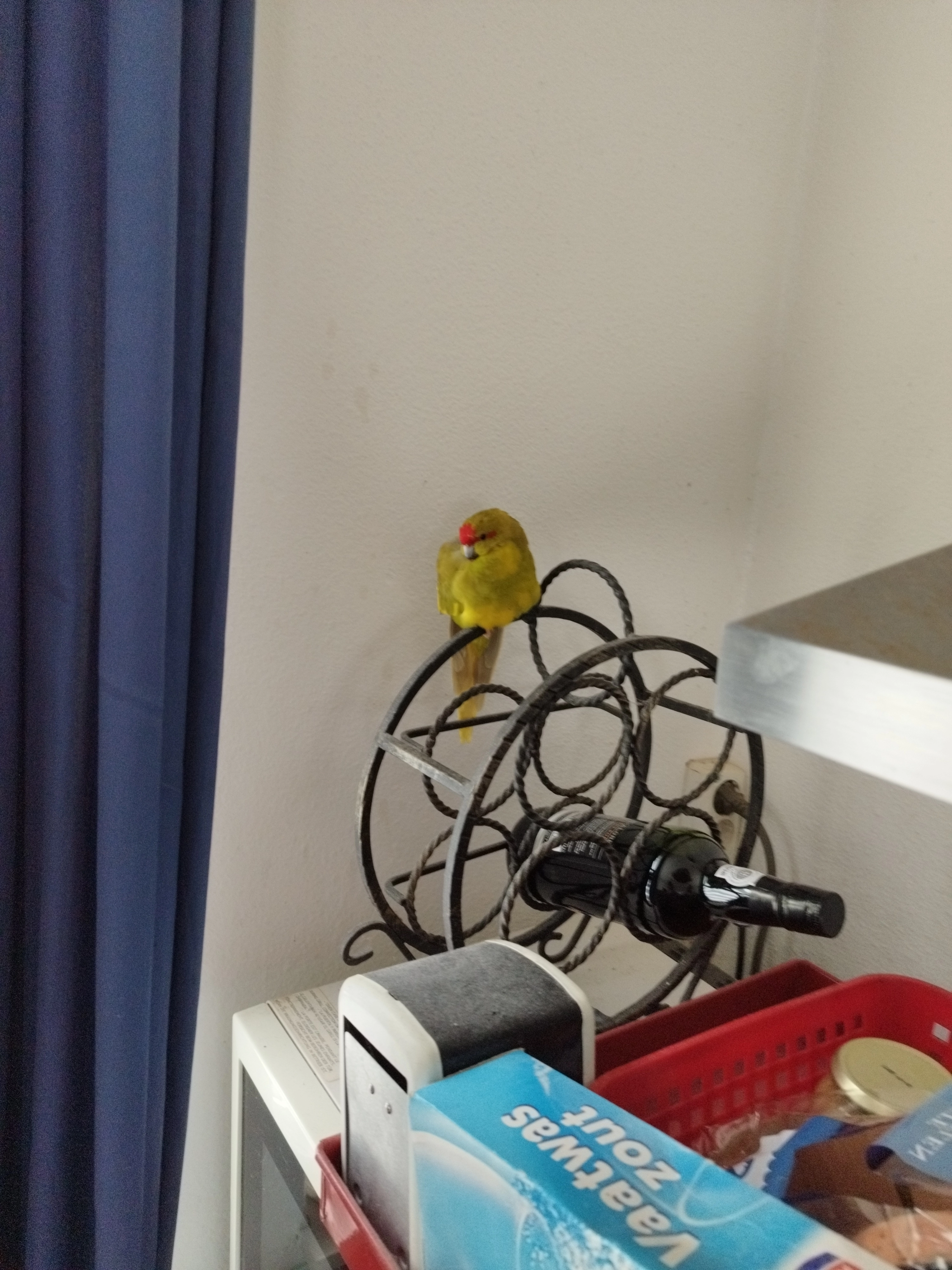 niet vermist maar  - Malzwin, Wieringerwerf