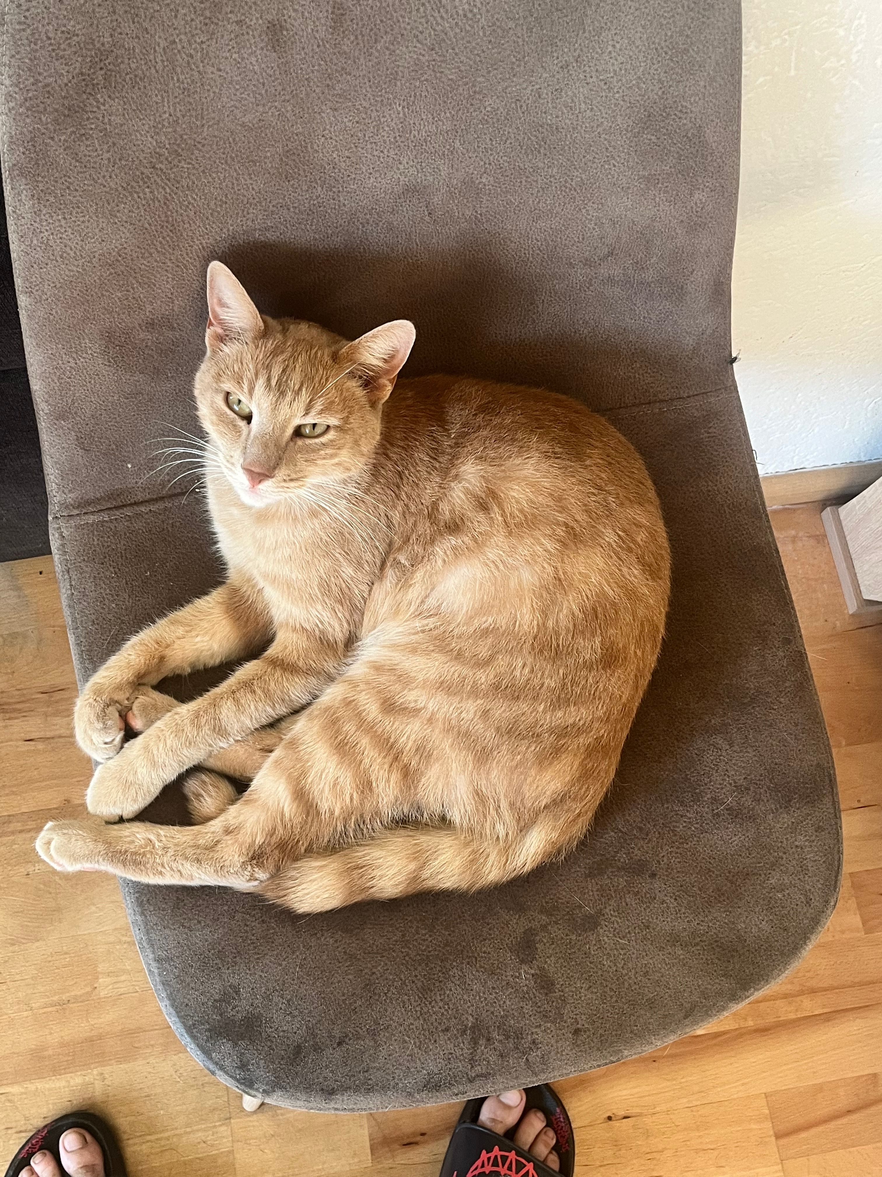 Kirito - Hauptstraße, Unterschwaningen