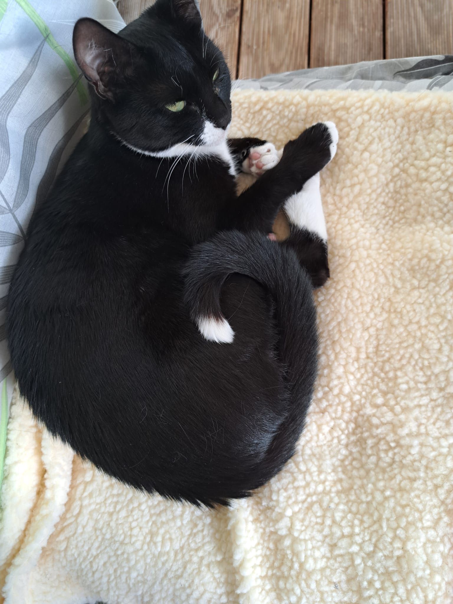 Pinsel - Ostbahnhofstraße, Villingen-Schwenningen