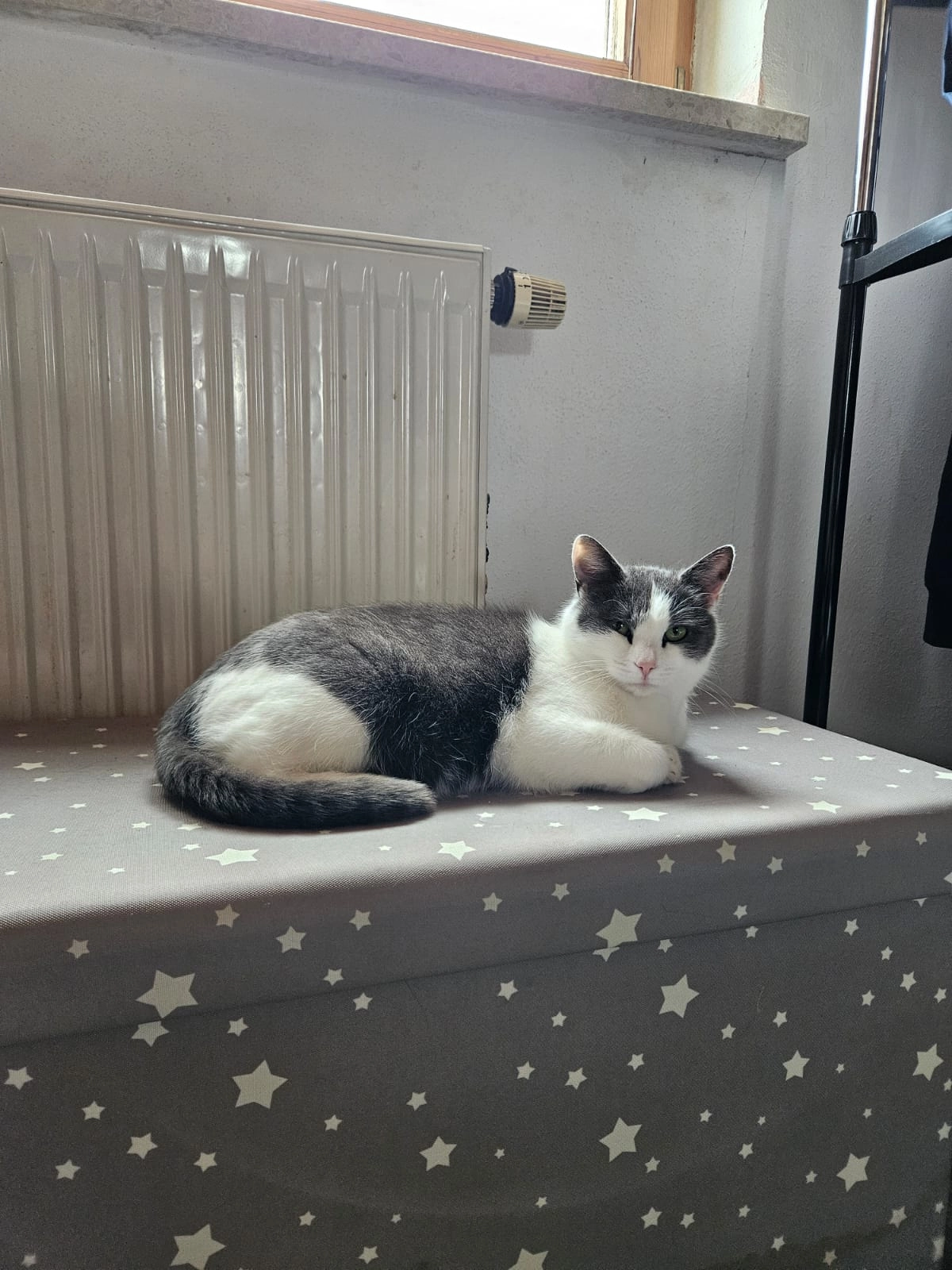 Luna - Fichtenstraße, Freilassing