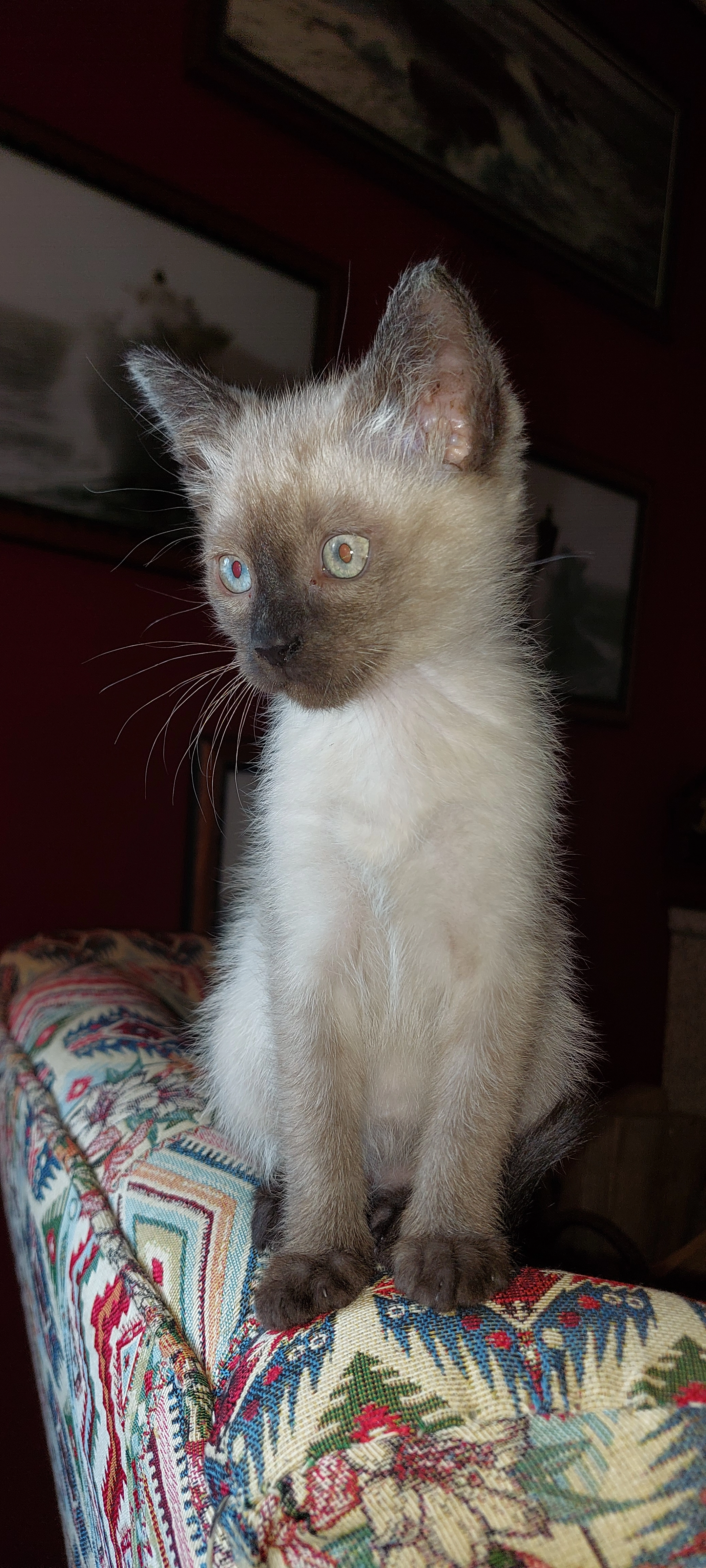 Eila - Avenida Da Atlántida, Vigo