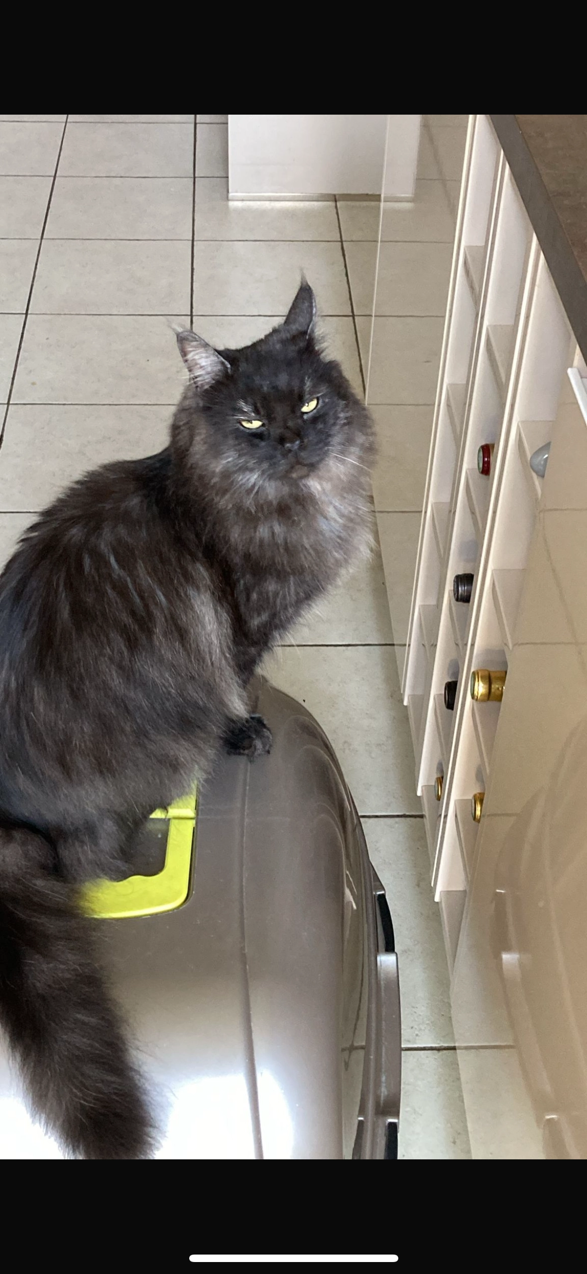 Urus - Rue Des Tanneurs, Lagny-sur-Marne