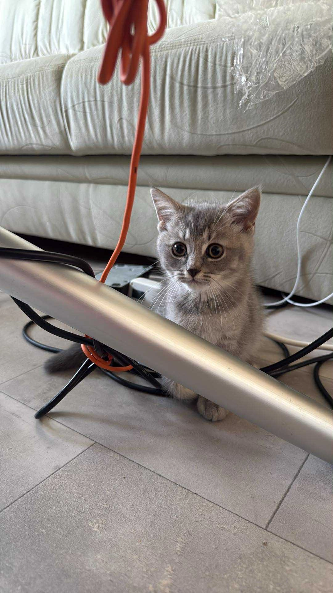 Miran - Große Münzstraße, Magdeburg