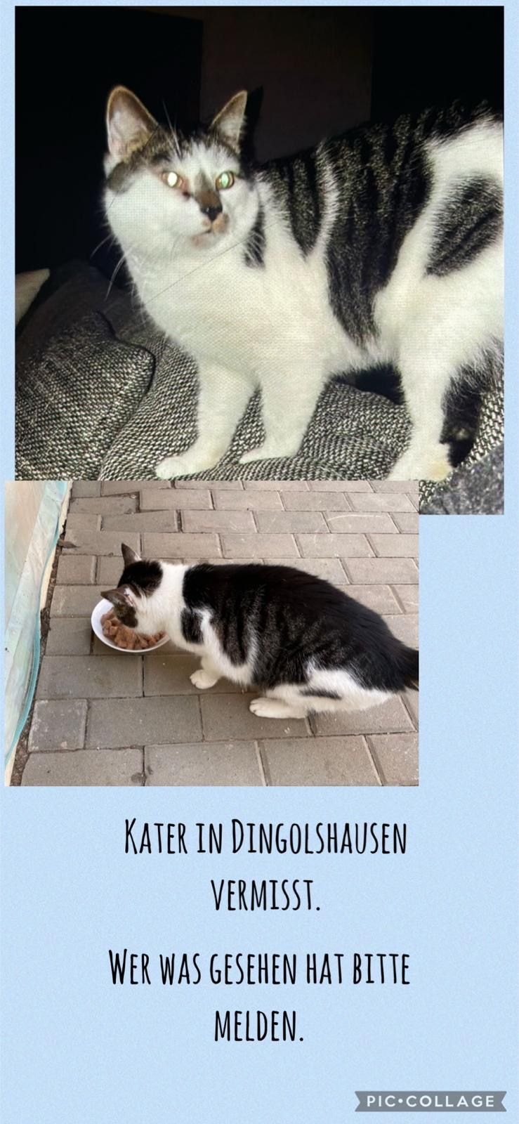 Carlos - Lindenstraße, Dingolshausen