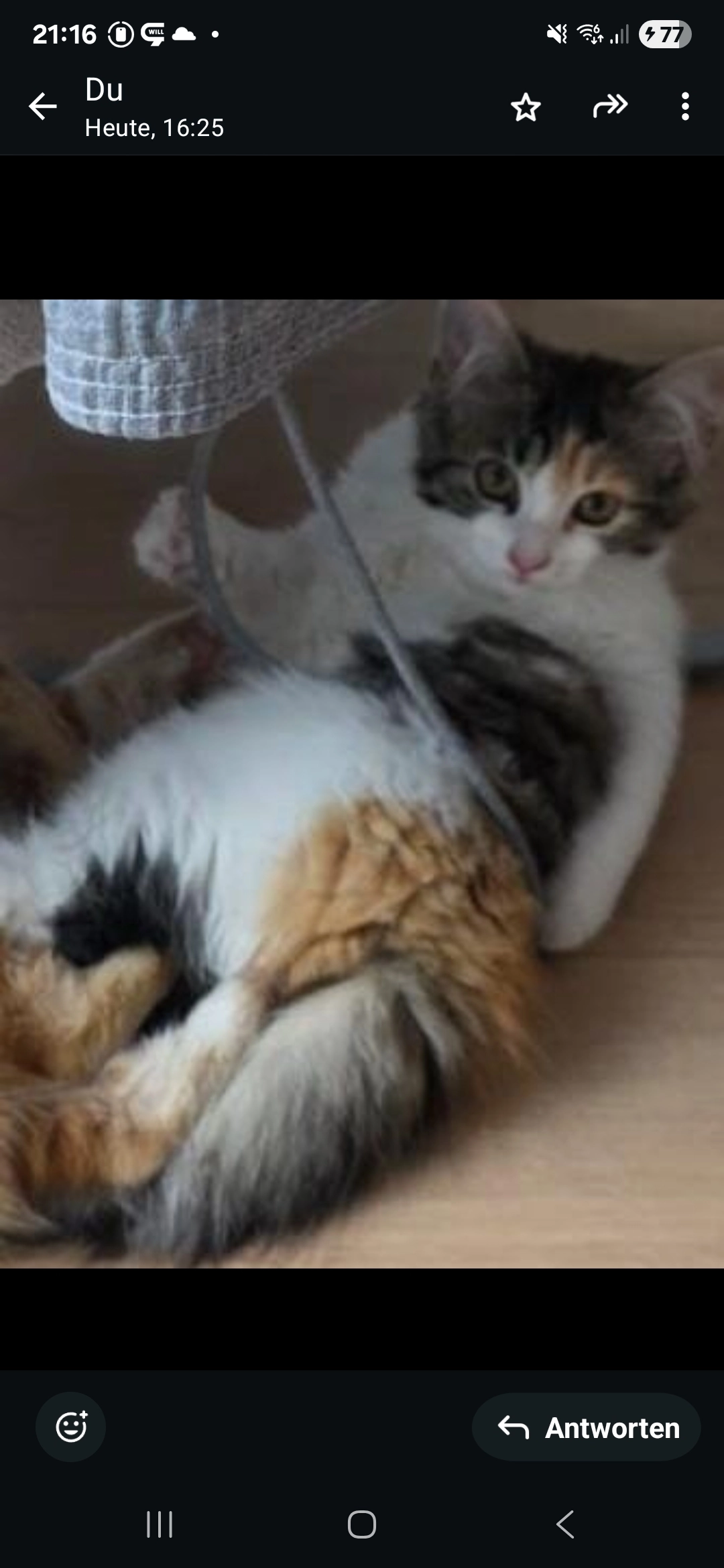 Mini - Auwiesenstraße, Amstetten