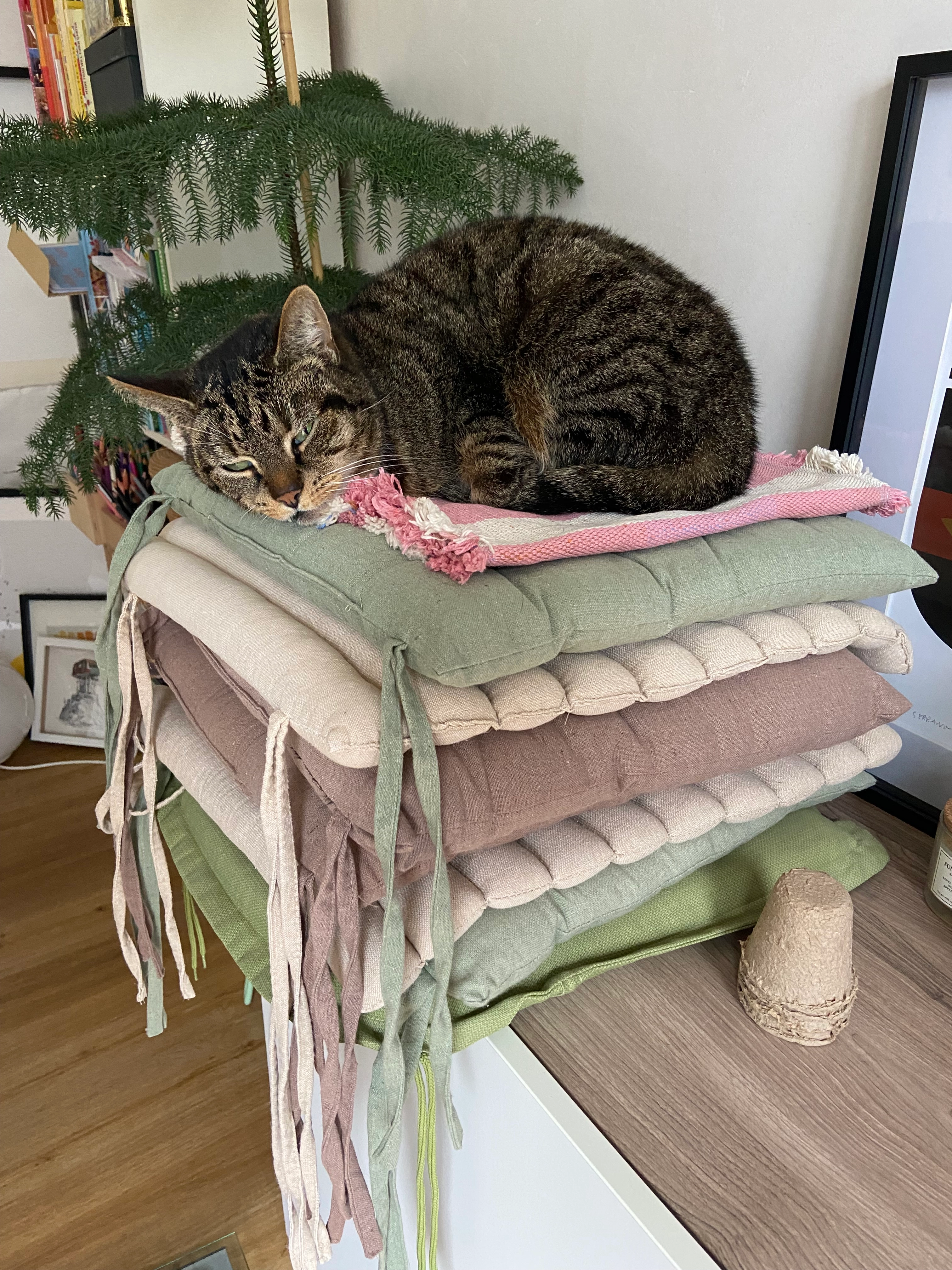 Frida - Feldstraße, Rendsburg