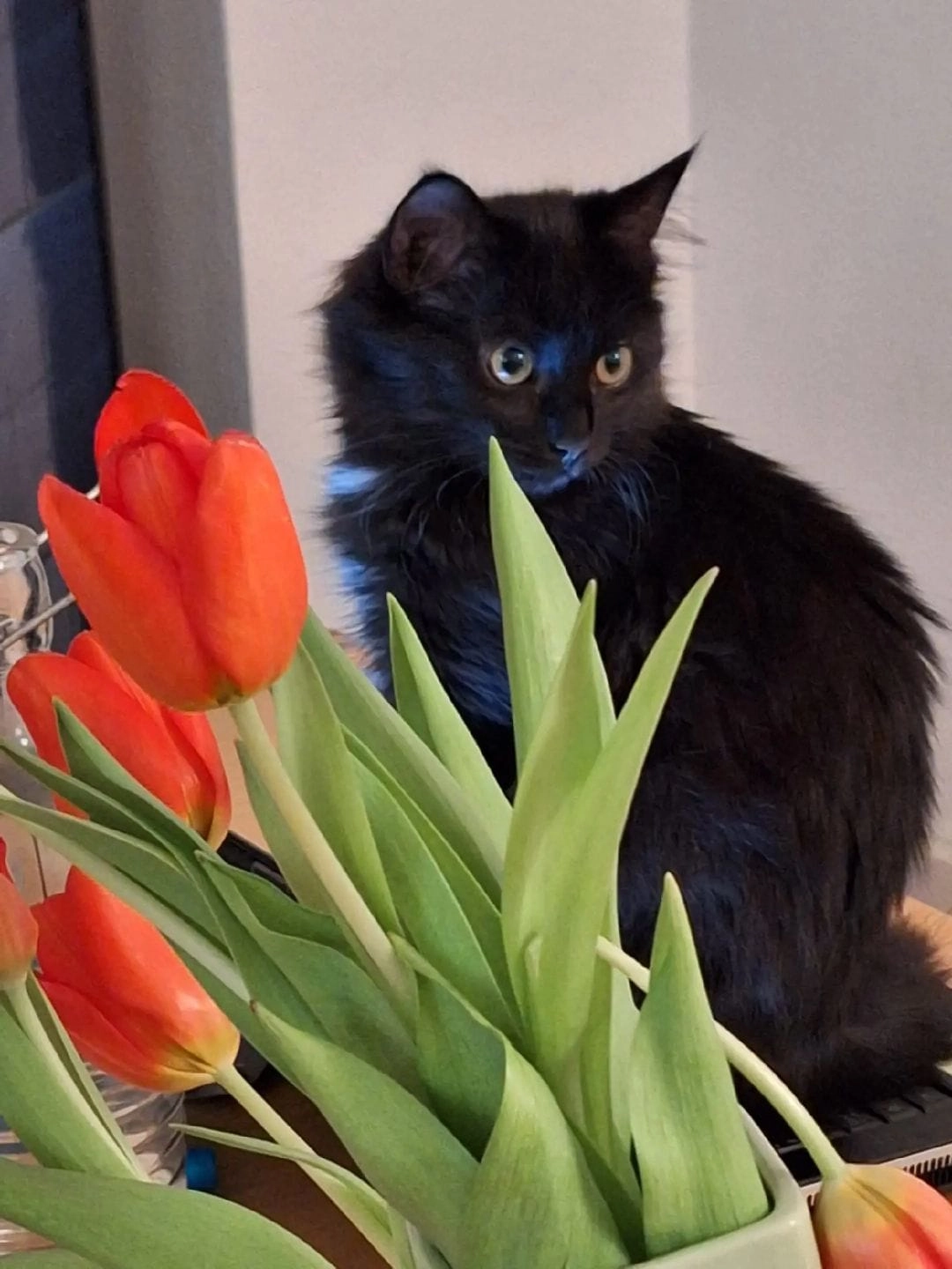 Globe - Haltingerstrasse 100, Basel