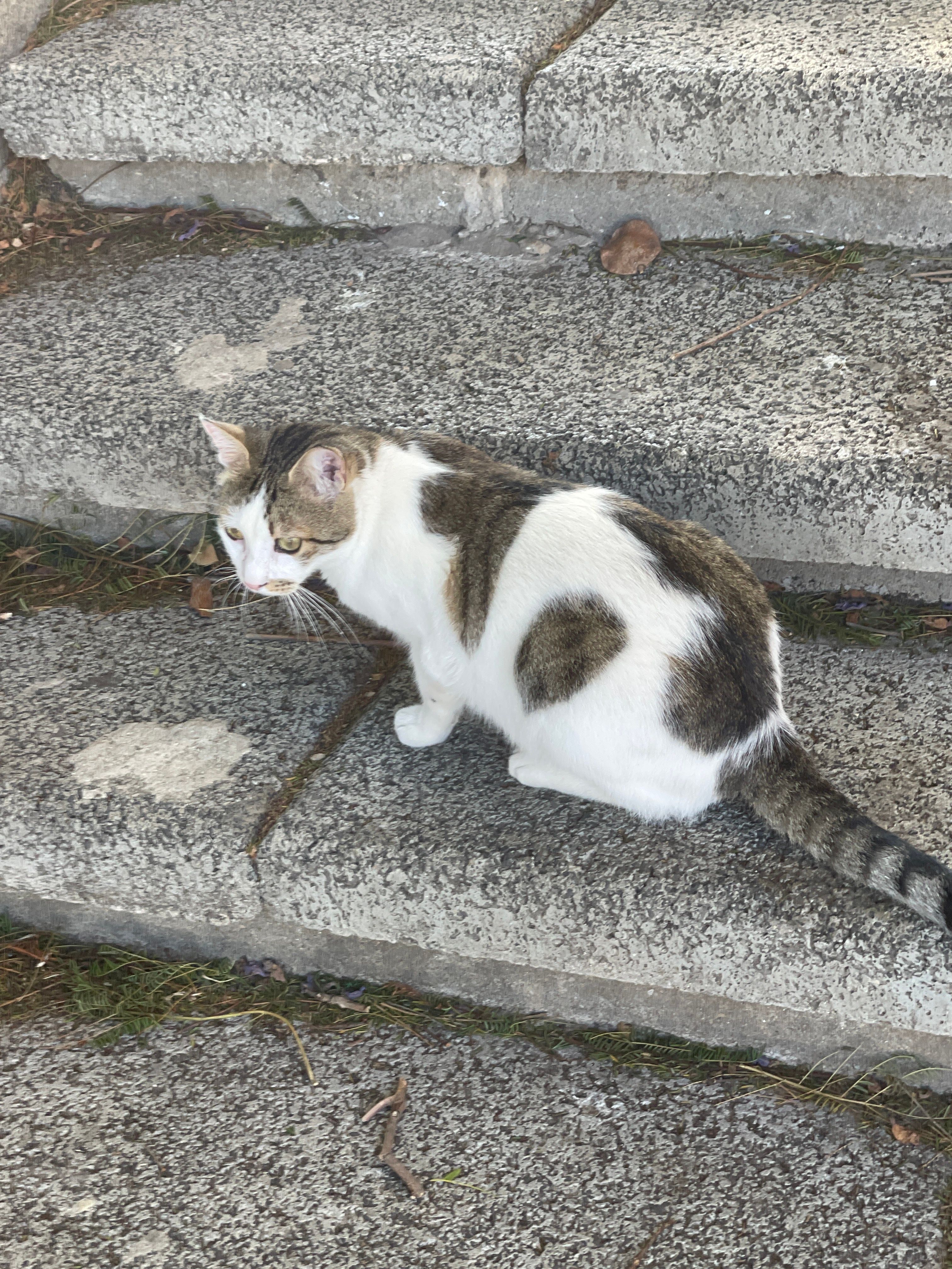 Ayato - Sde Boker Street, Kiryat Ata