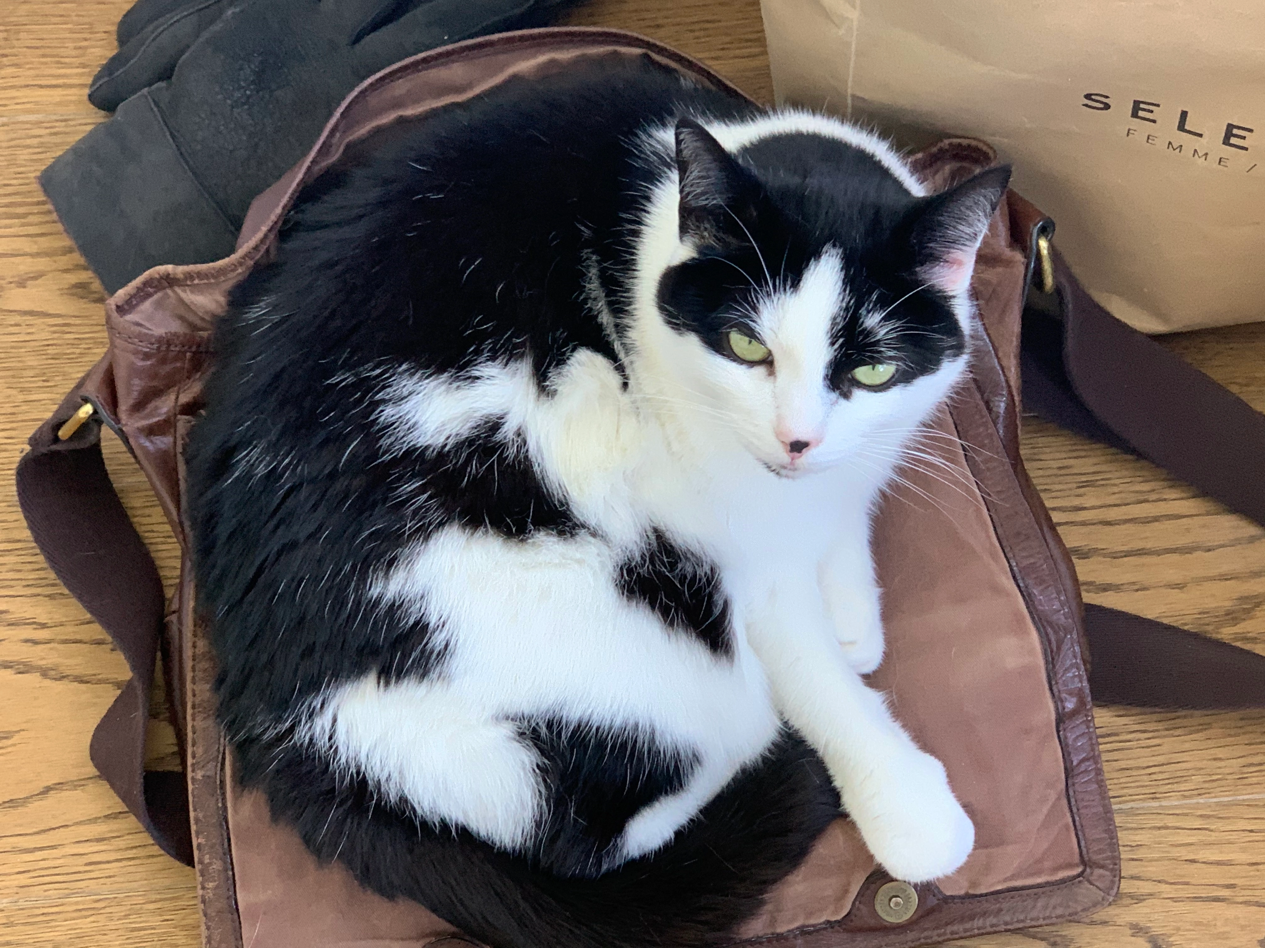 Mia - Am Lehester Deich, Bremen