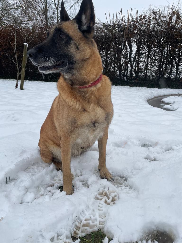 Luna - Rue de la Chapelle 12A, Hannut