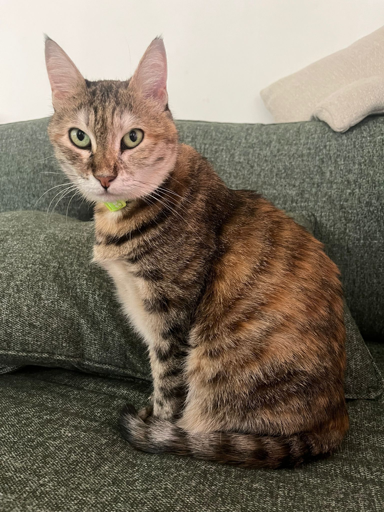 Pau - Shoham, Pardes Hanna-Karkur