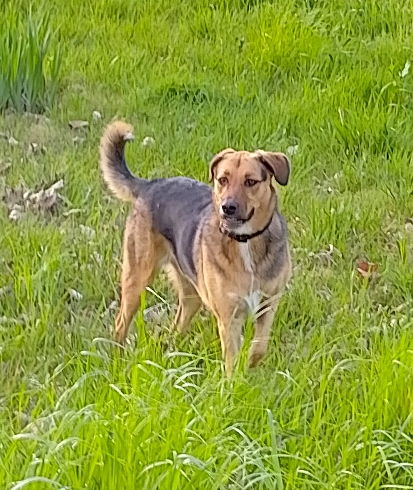 Kaya - Nesselande, Rotterdam