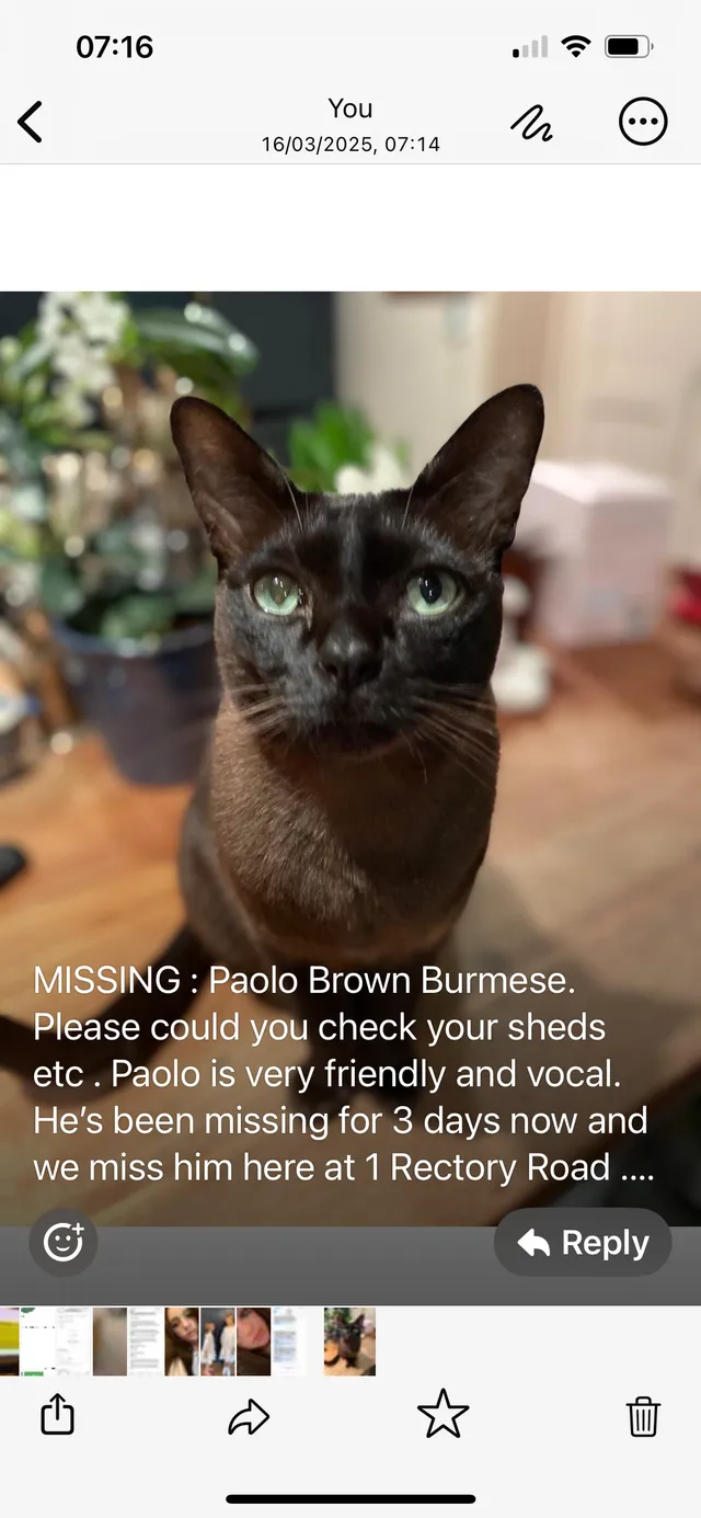 Paolo - Rectory Road, London