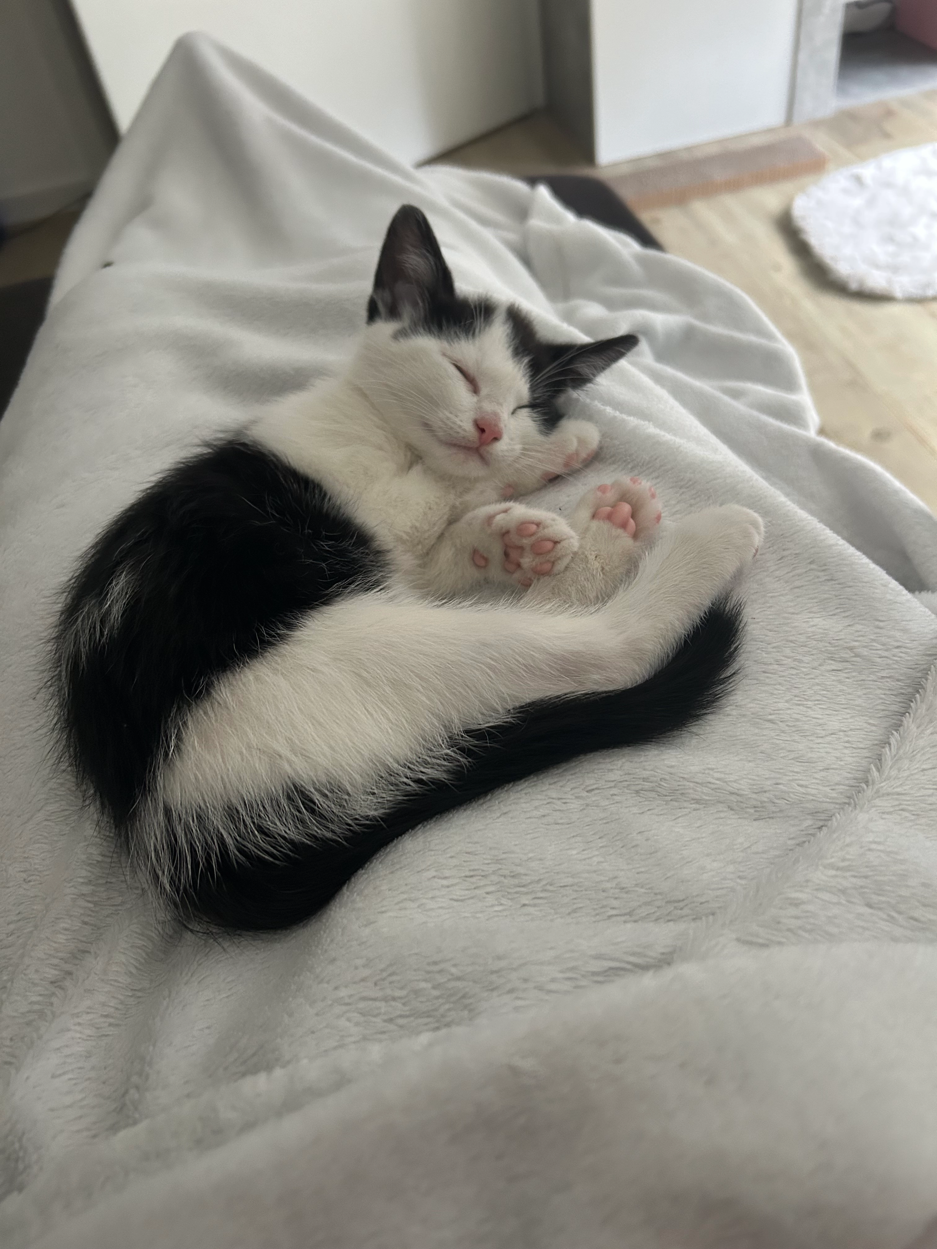 Tyga - Lichtenturmweg, Paderborn