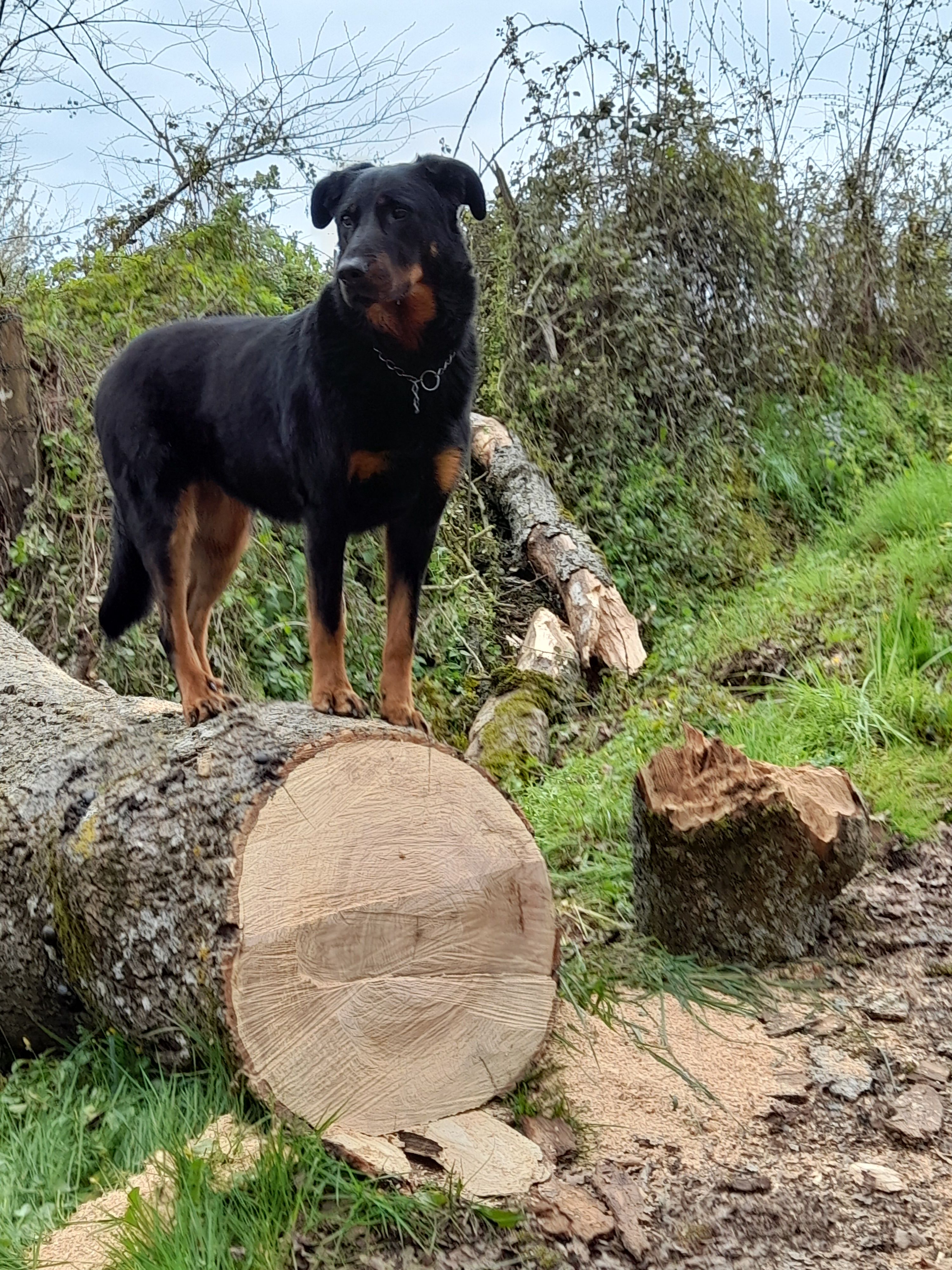 Lol - Allée Maurice Utrillo, Châteauroux