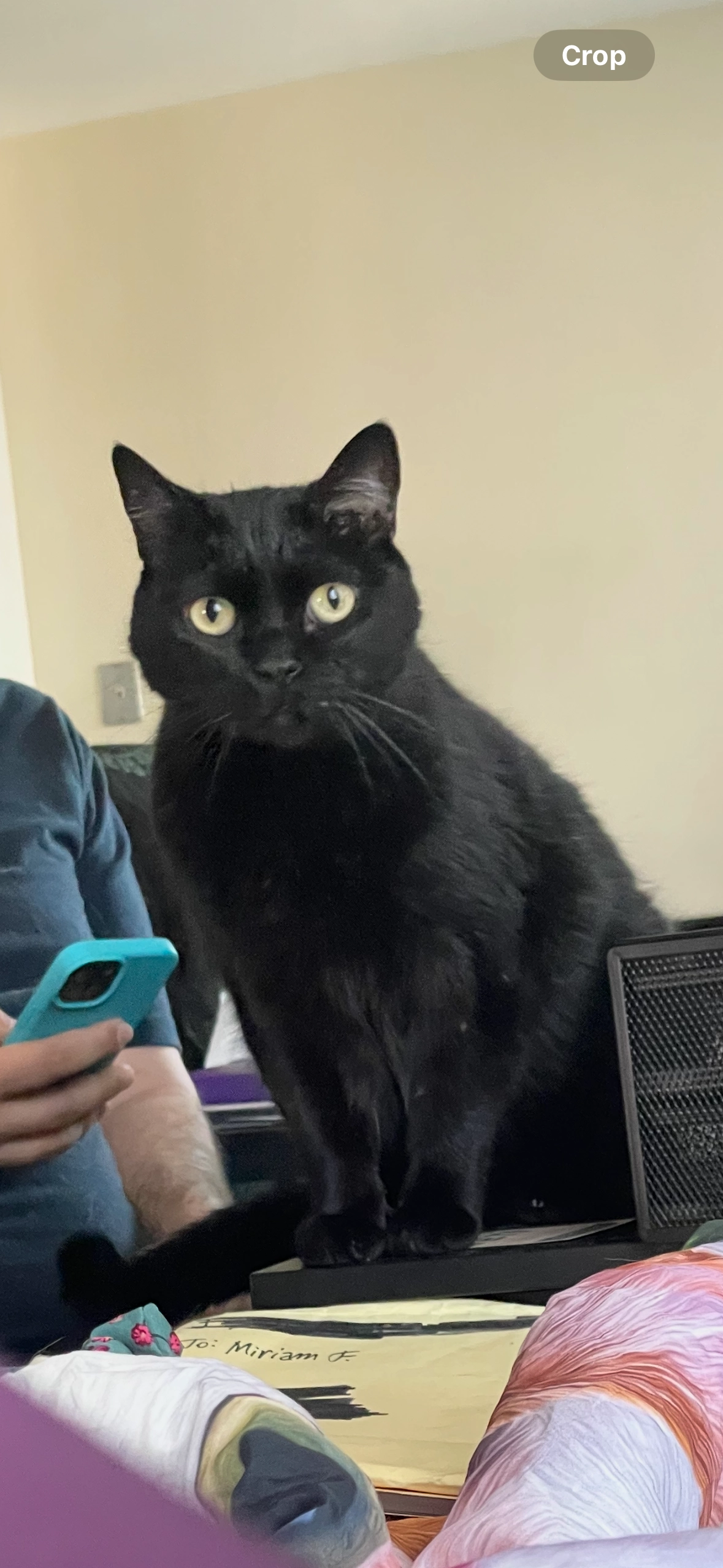 Onyx - Calle Tejares, Salamanca