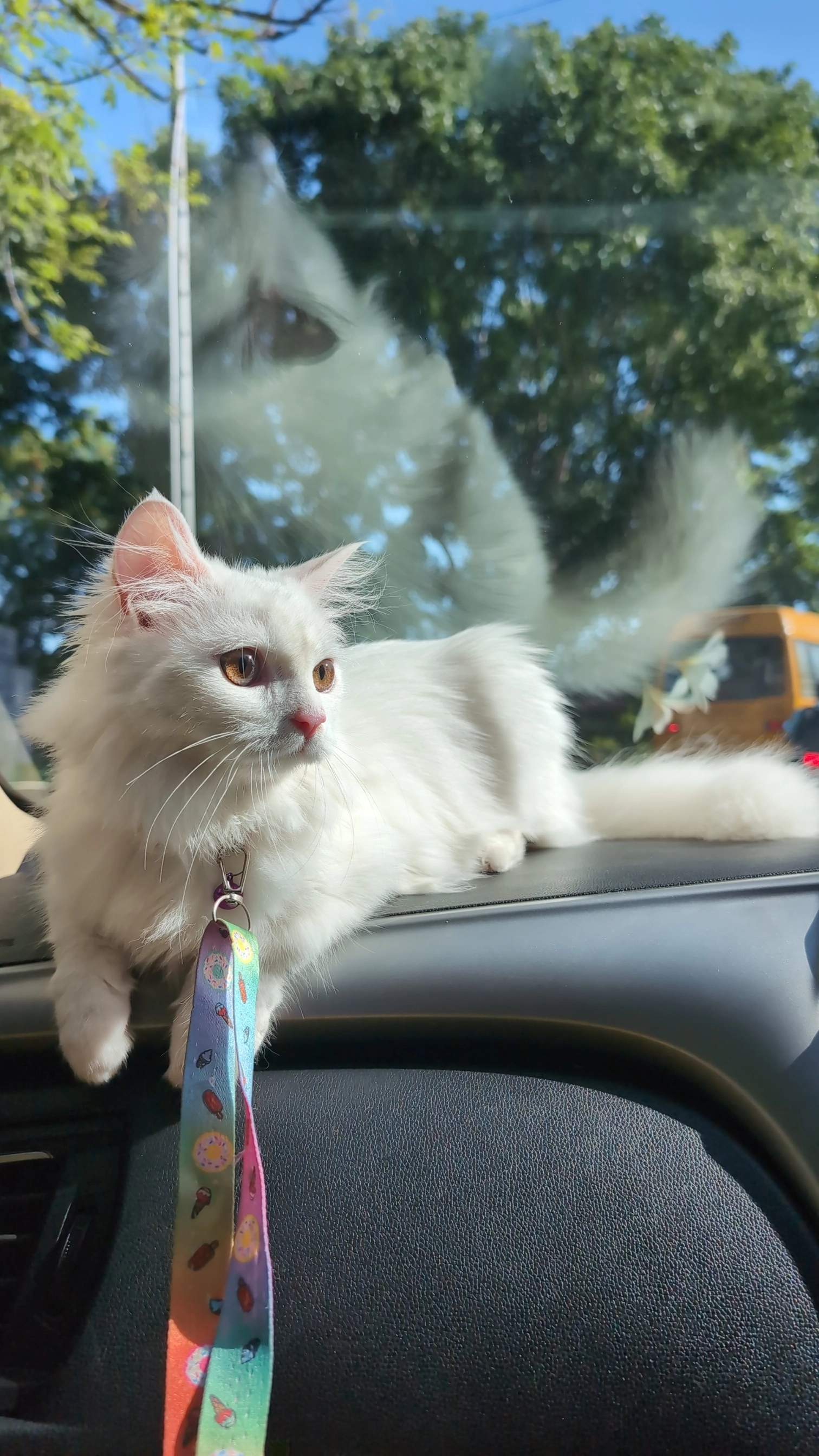 Luna - Hosur Road, Hosur