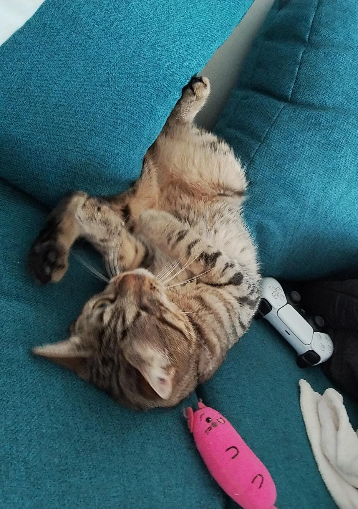 Raffi - Sedanstraße, Neumünster