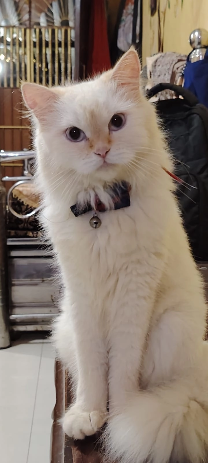 Satoru - Pravesh Marg, Panvel