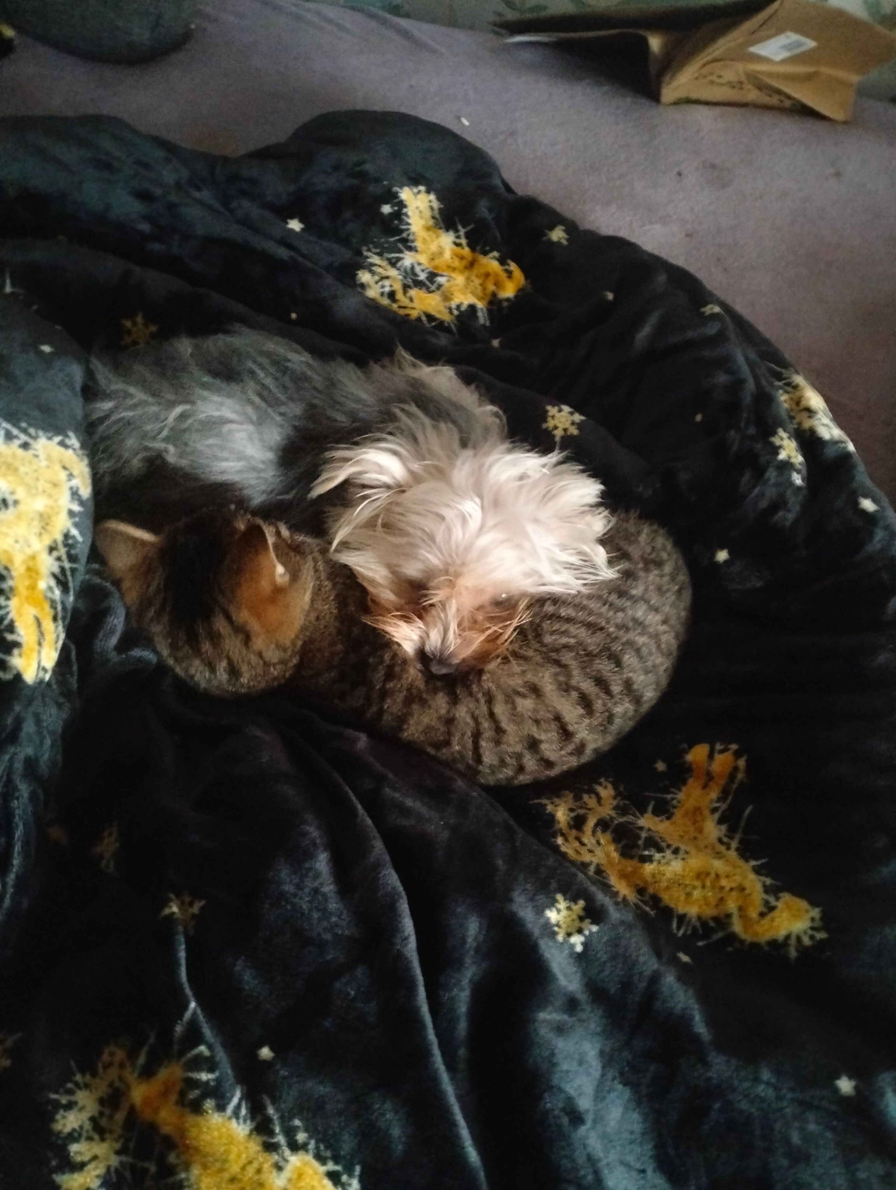 Mały  - Osiedle Urocze, Poręba Spytkowska