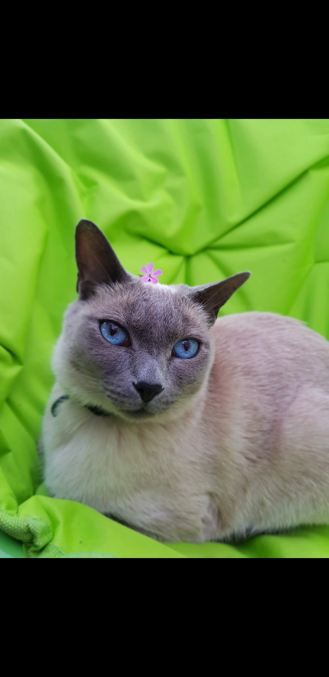 Jacks  - High Street, Macclesfield