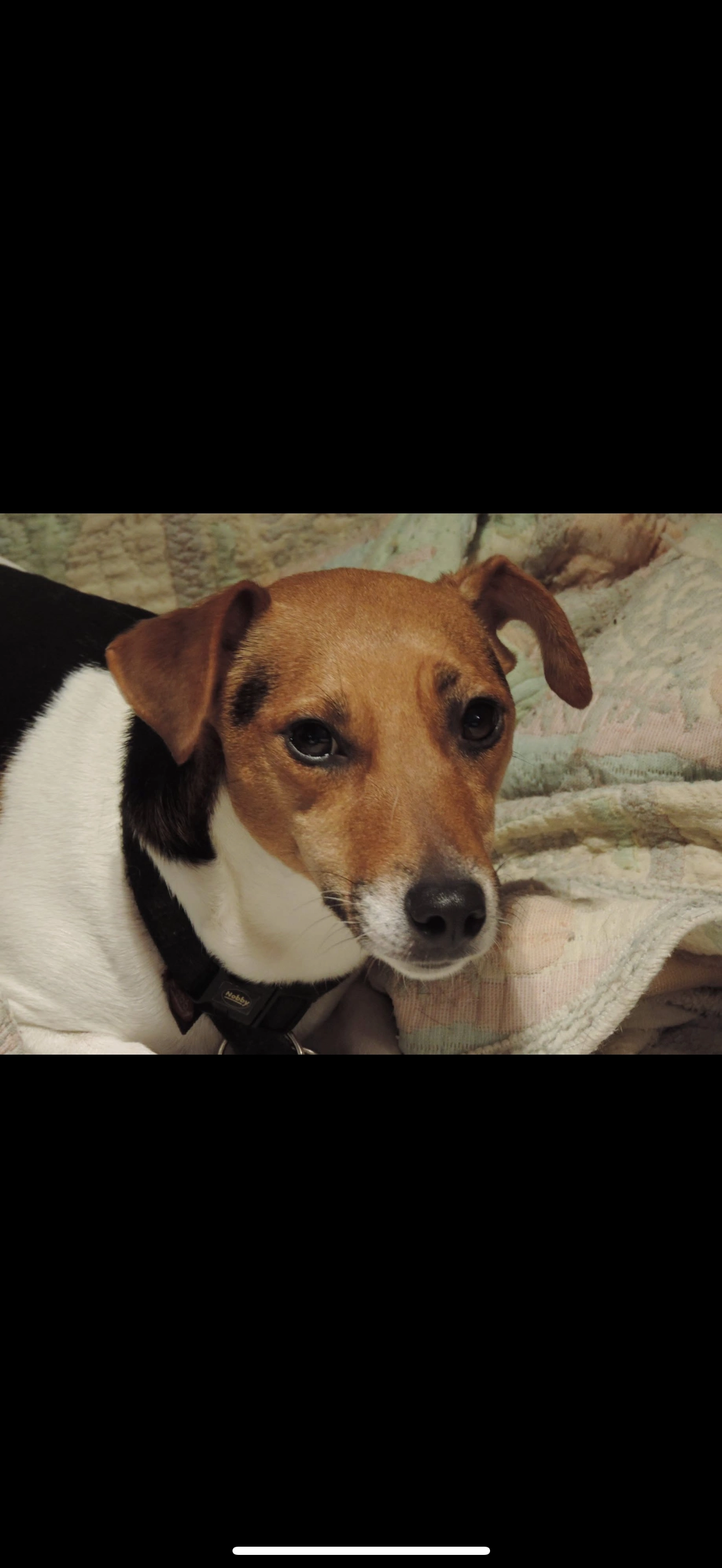 Belle - Rue des Martyrs 25, Anderlues