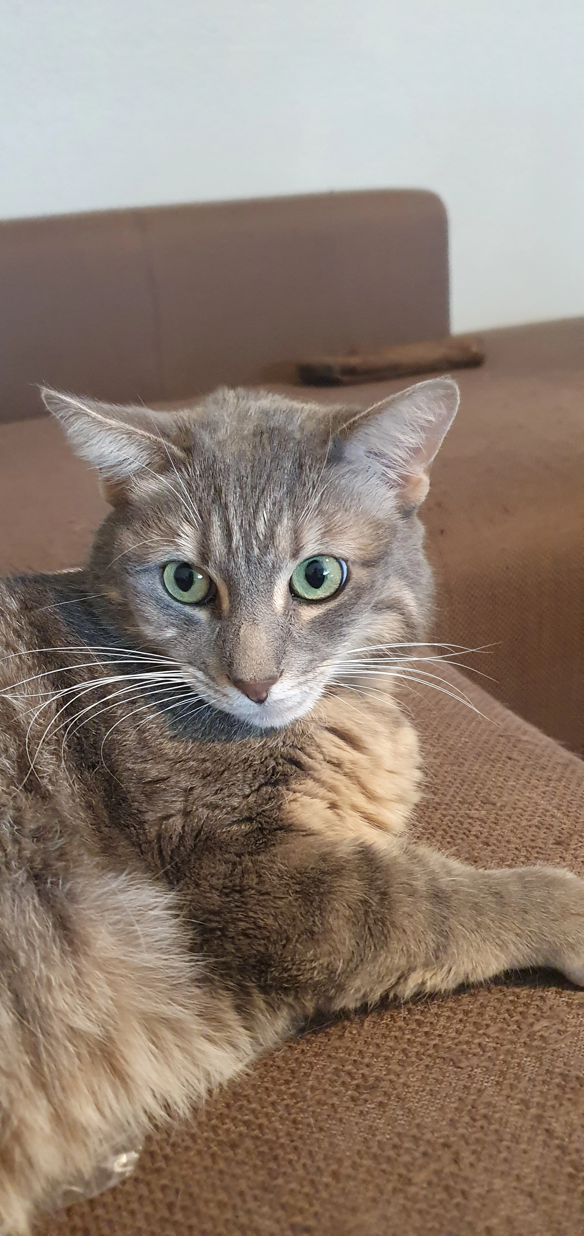 RAGNAR - 107 Avenue Aristide Briand, Fontaine