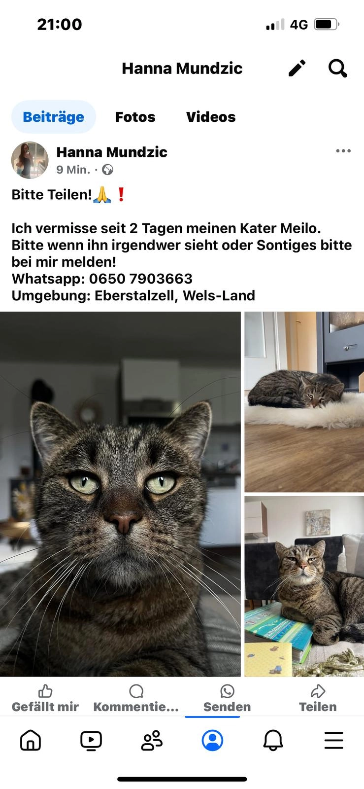 Maylo - Mayersdorf 16, Eberstalzell