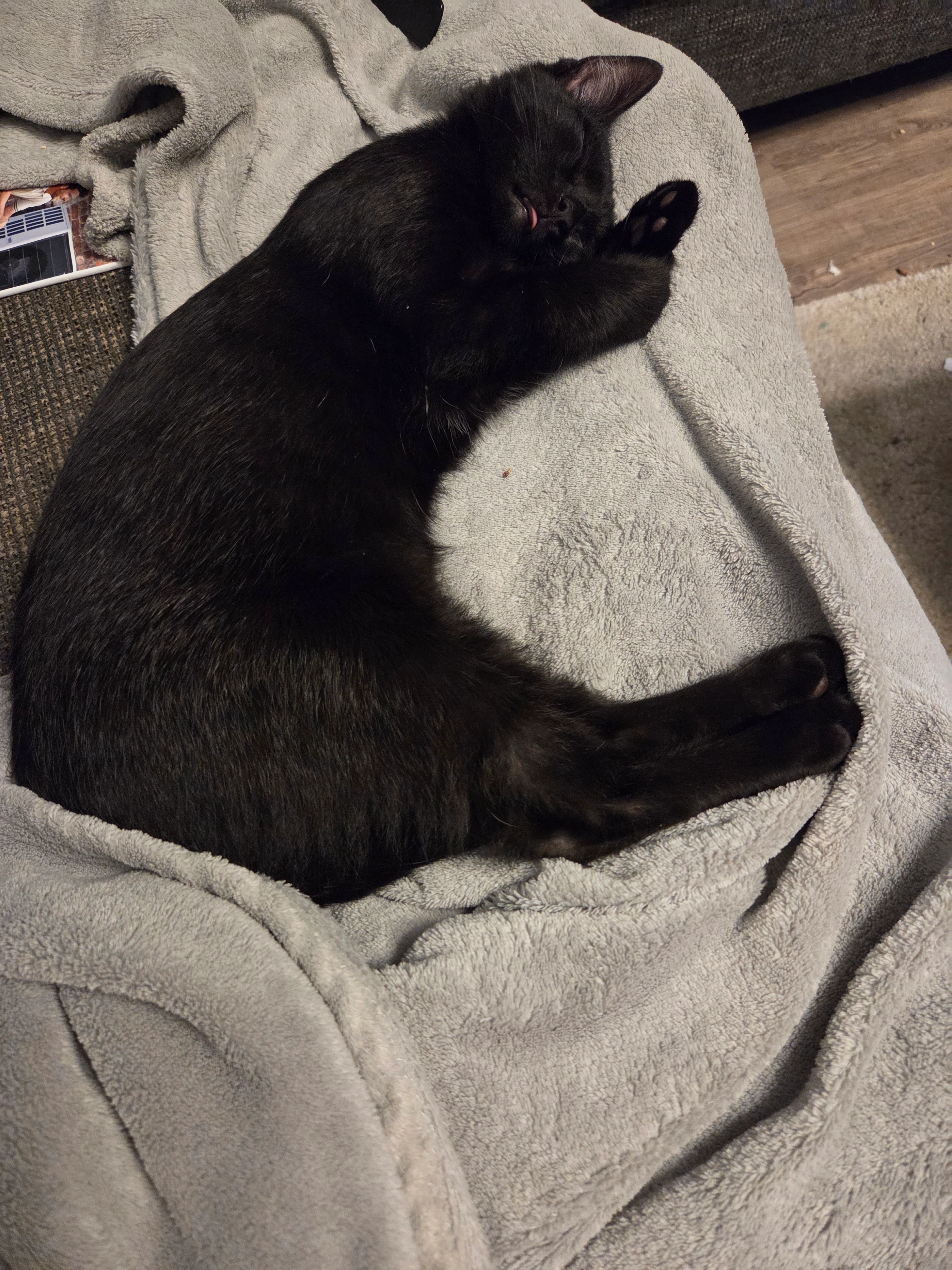 Tschernysch - Königsau, Kaiserslautern