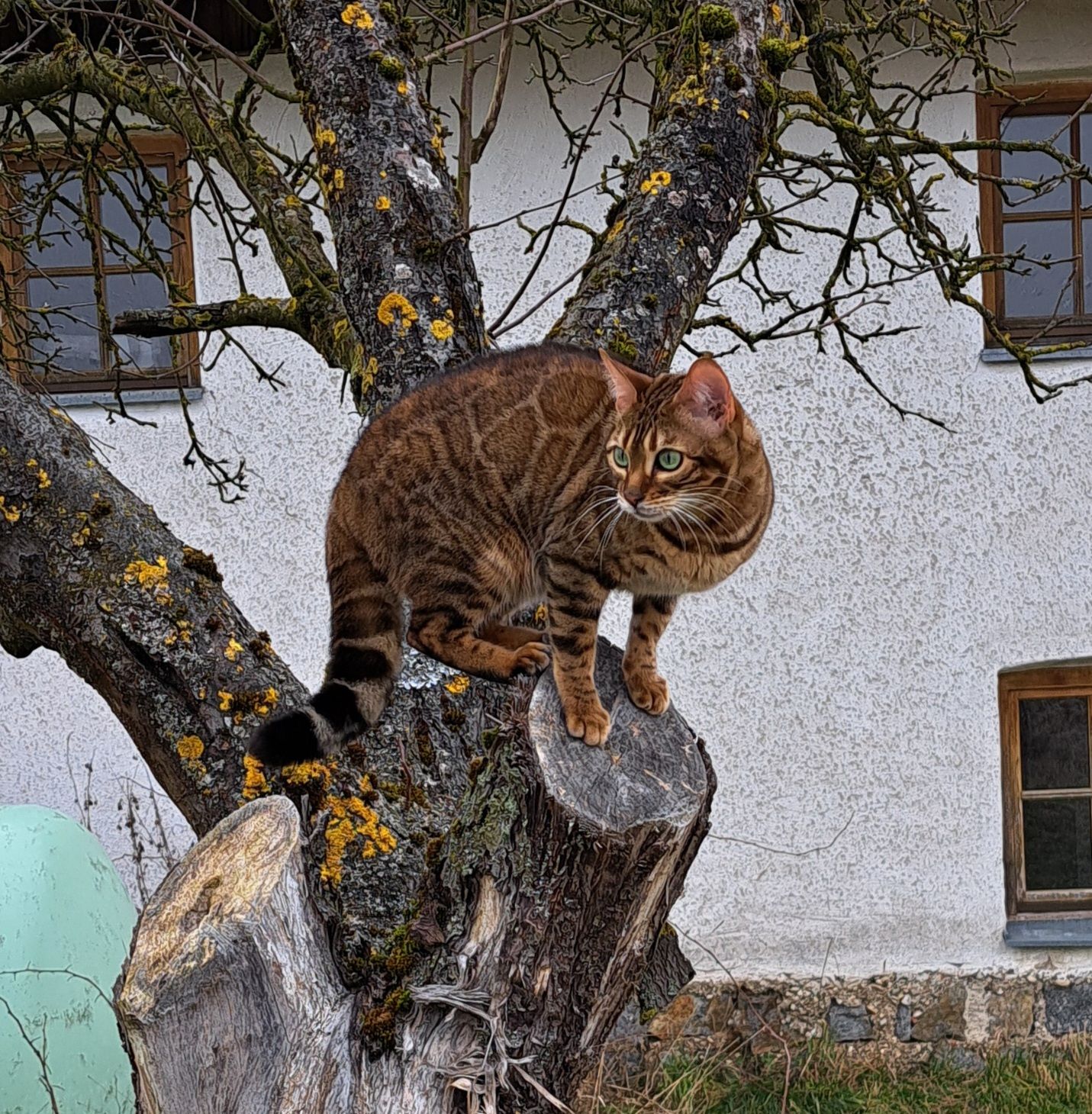 Maru - Barhof, Ruhstorf an der Rott