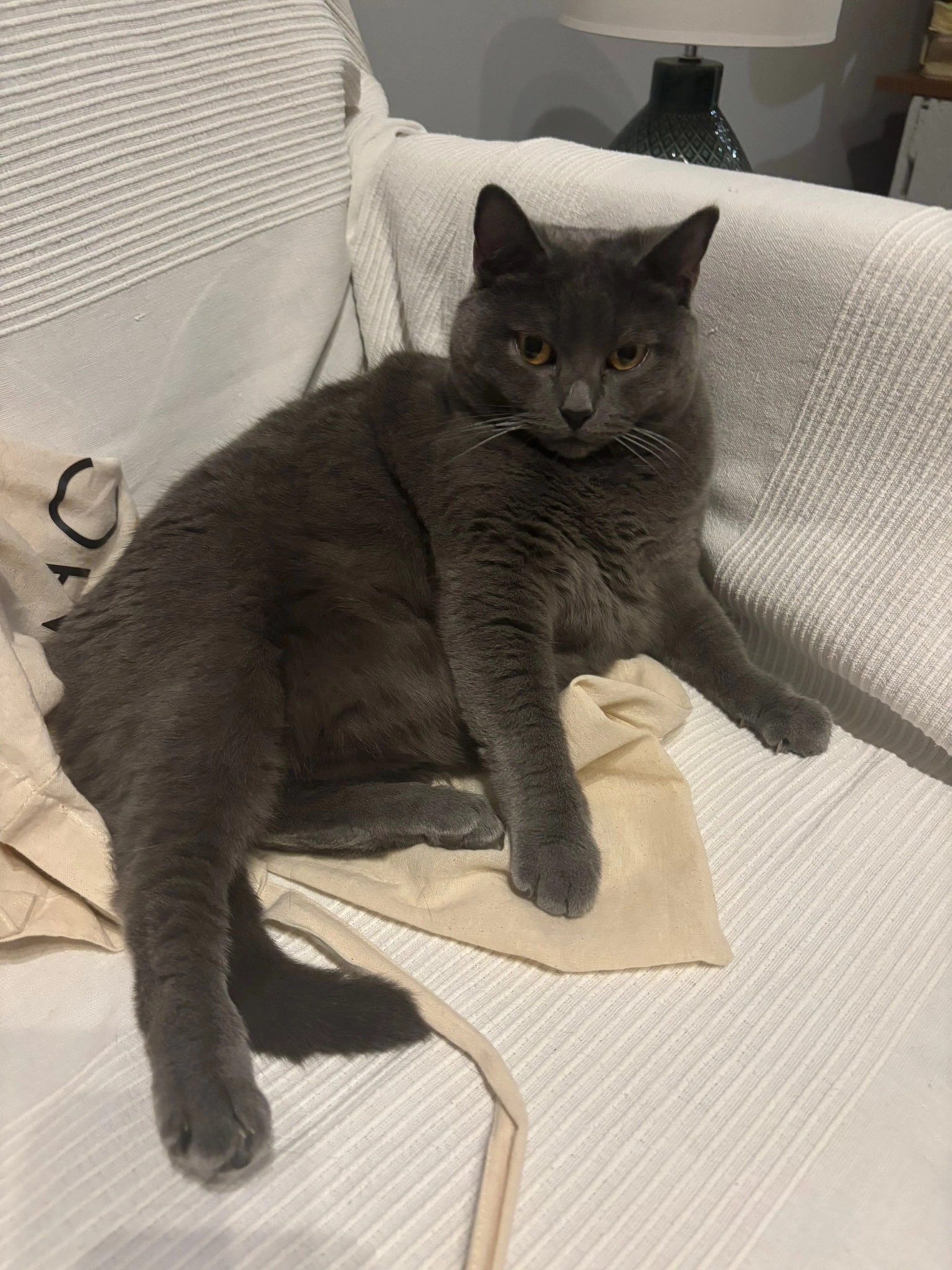 Rubie - Rue Sous la Tour-Rouge, Villeneuve