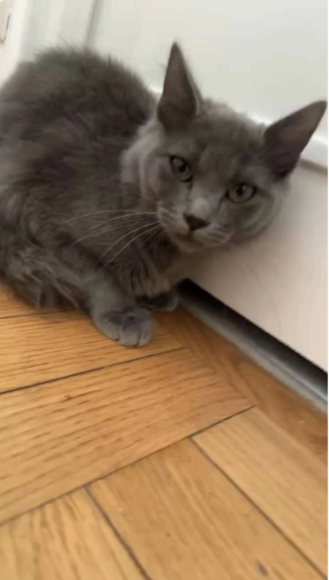 Many - 43 Allée des Pins, Marseille