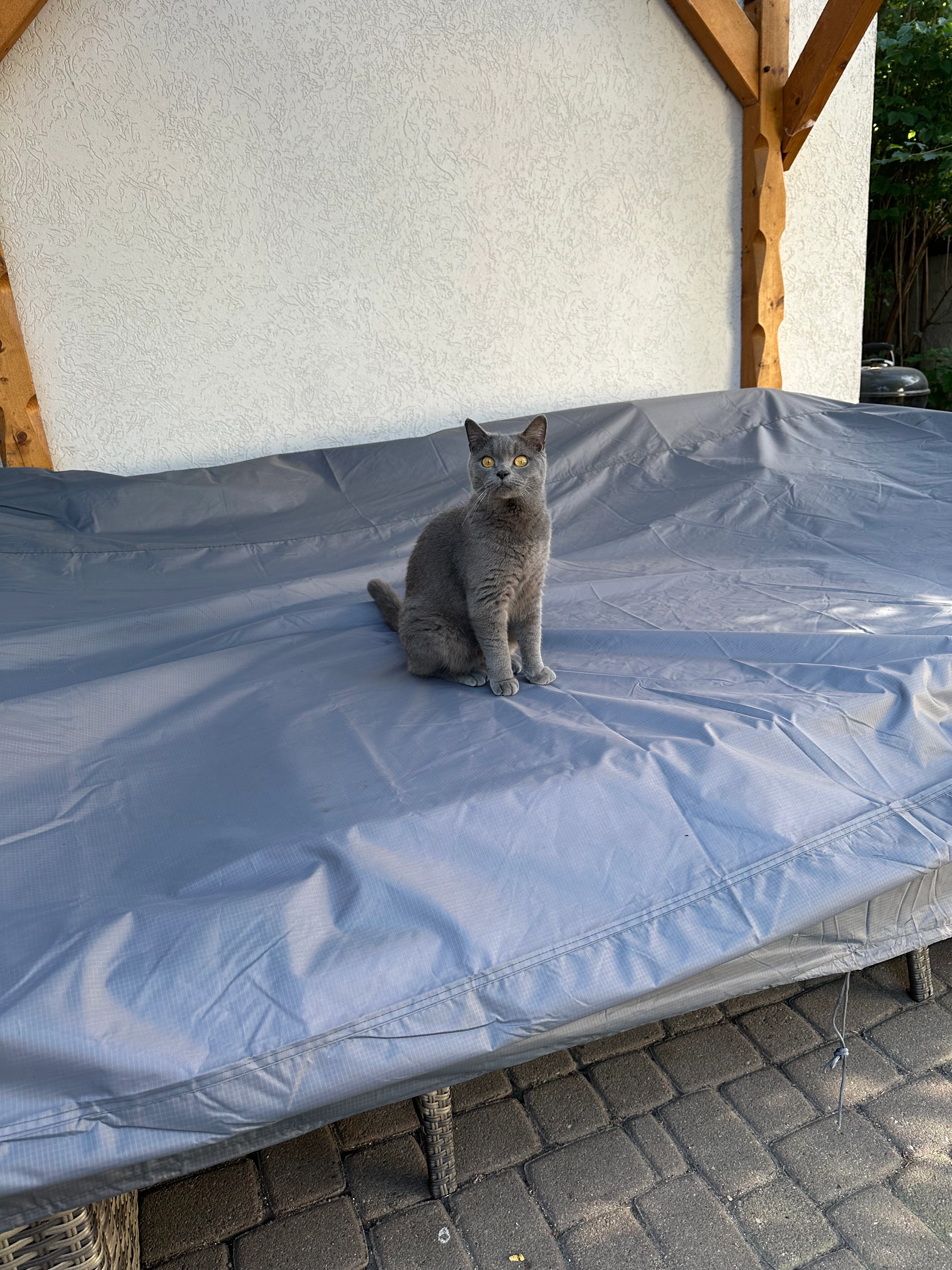 Charlie  - Theresienstraße, Wörth am Rhein