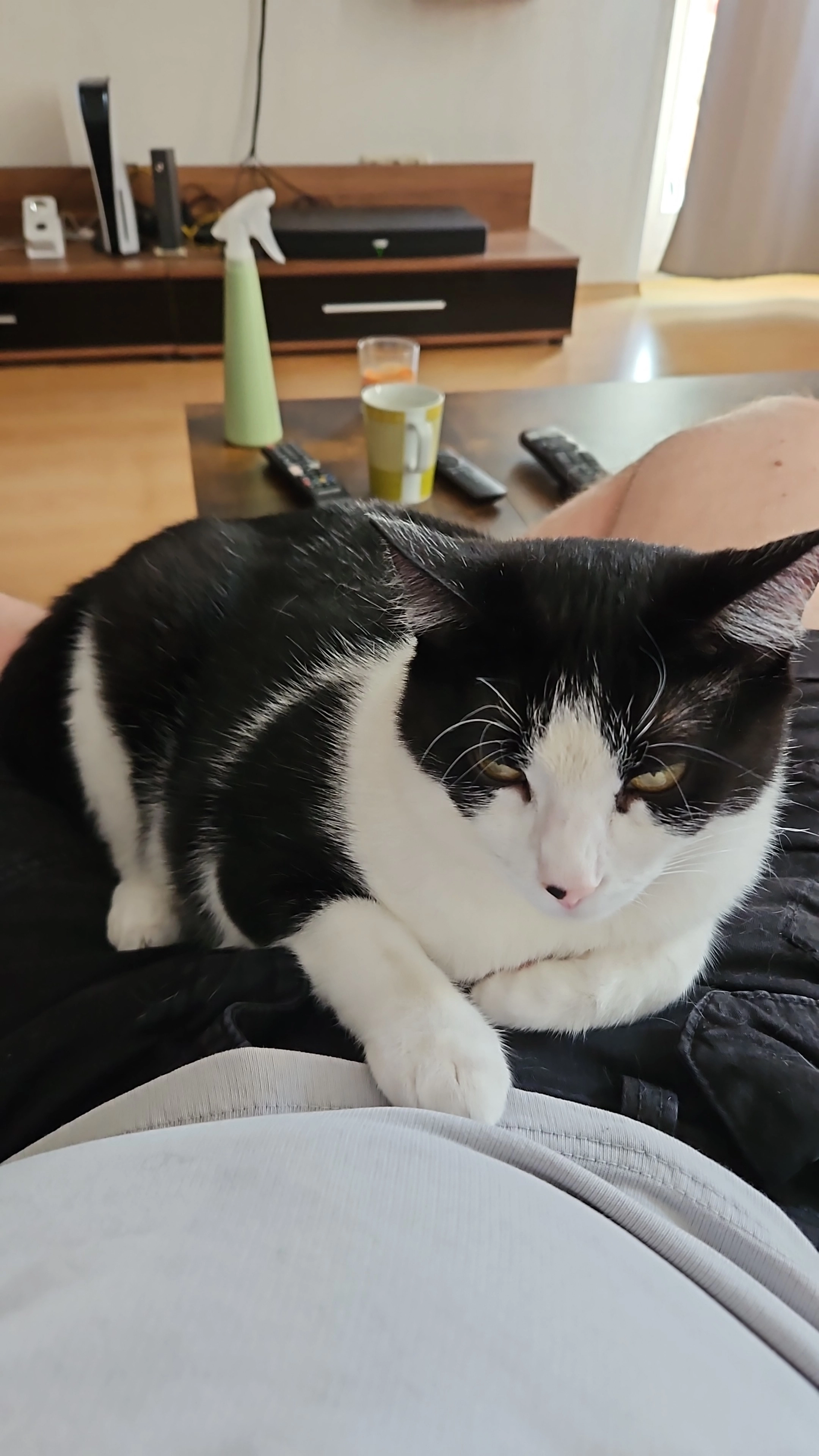 Lucy - Lamprechtstraße, Aschaffenburg