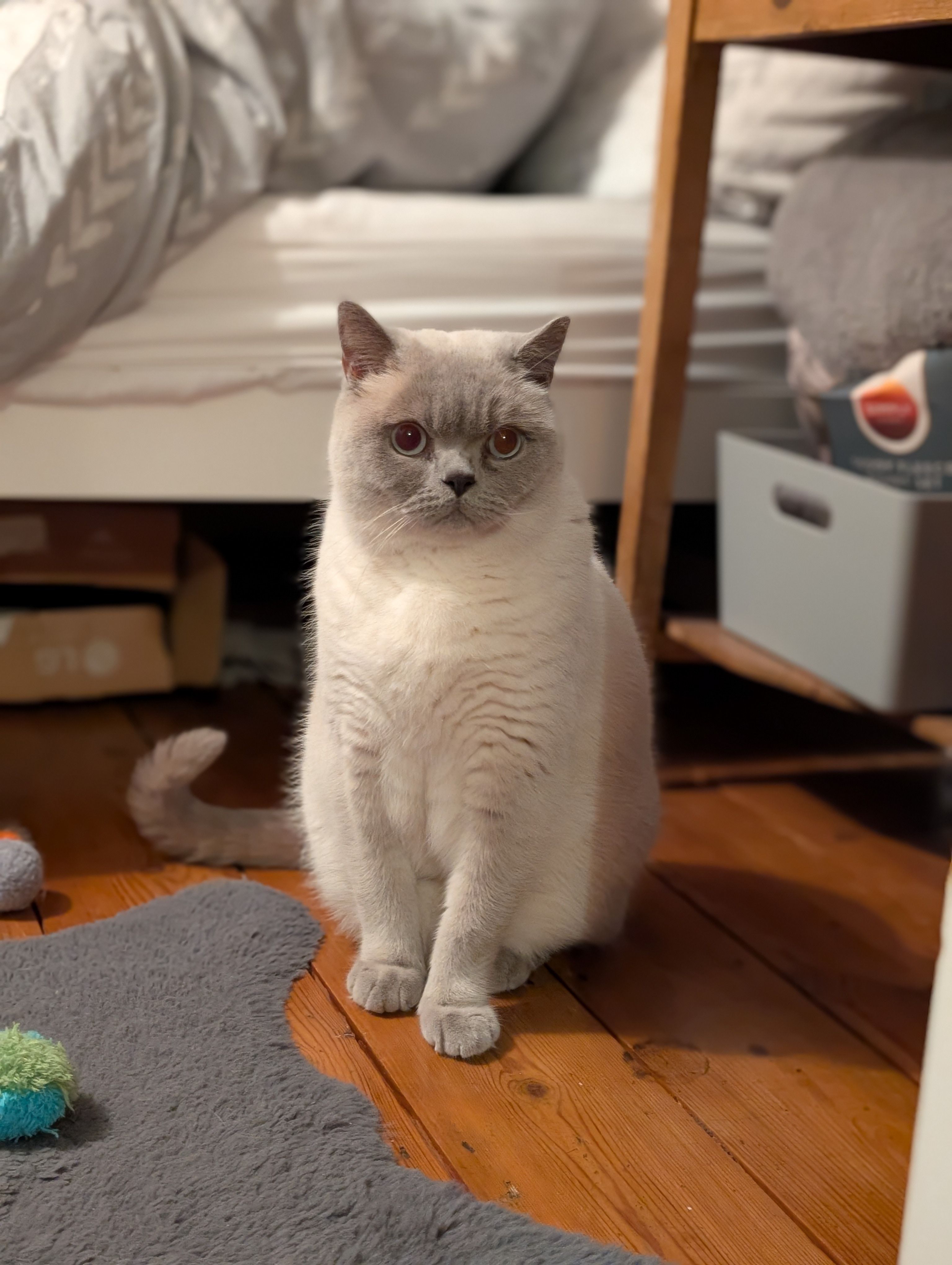 Claude  - Tilney Road, Dereham