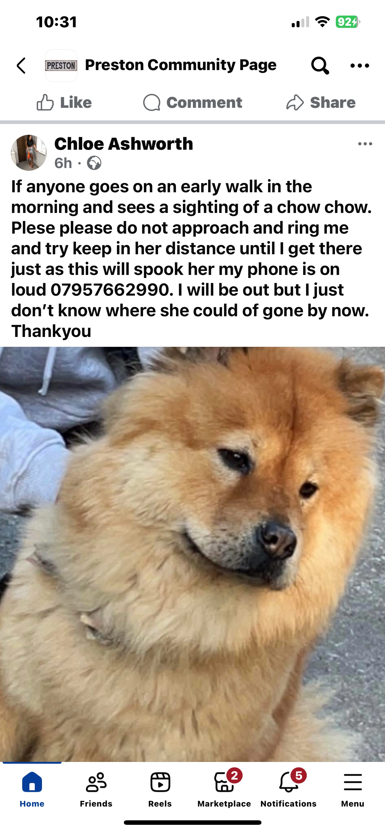 Nellie - Garstang Road, Preston