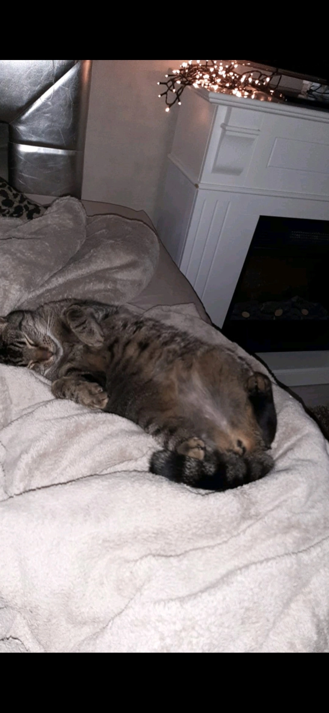 Gucci - Zaandam Alle, Kastrup