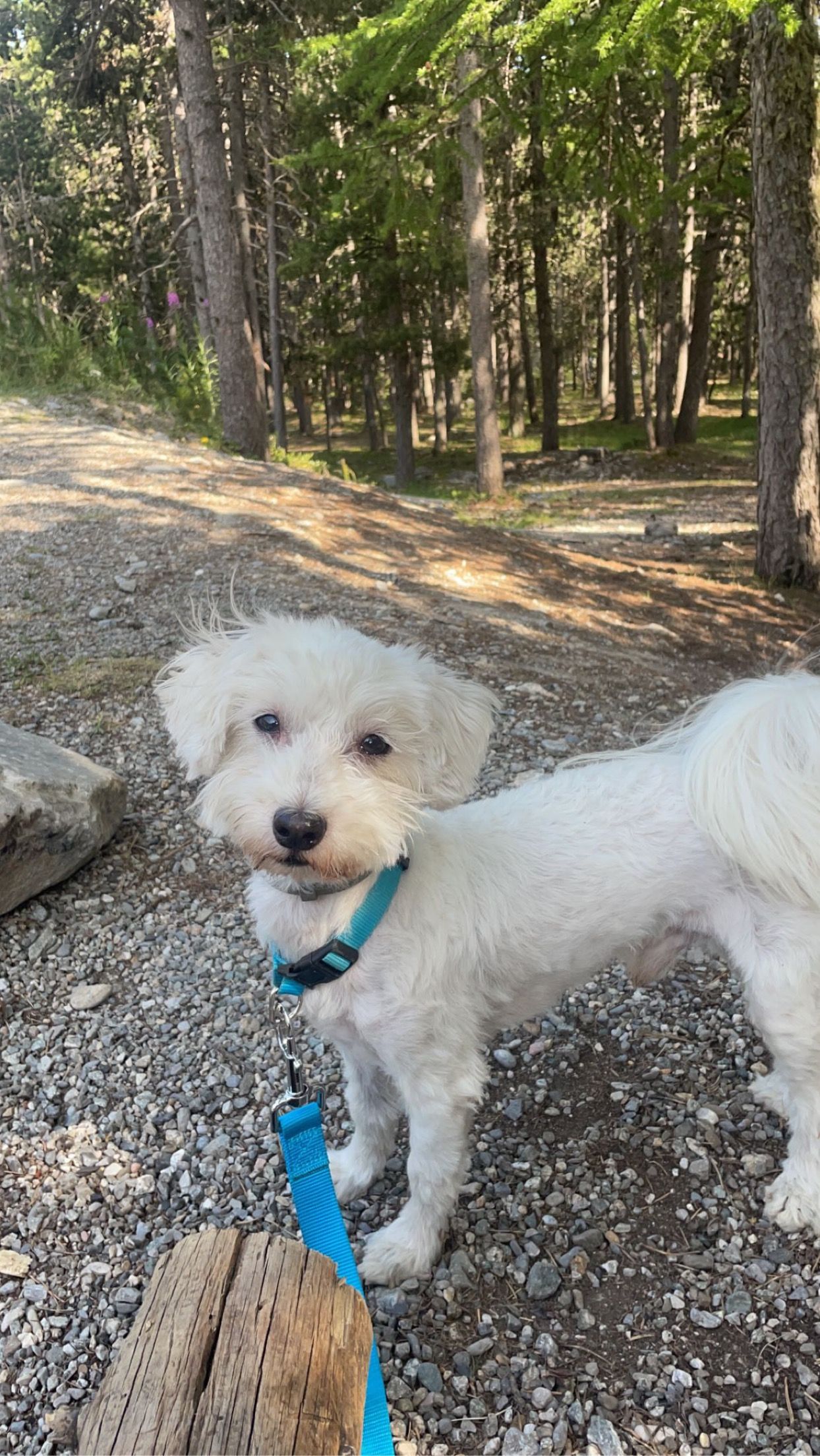 Ithos - 373 Avenue Marceau, Toulon