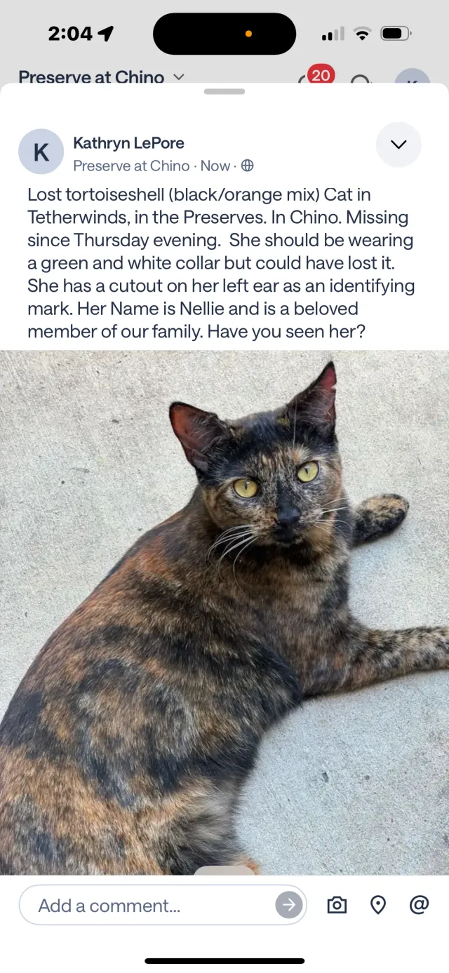 Nellie - 8427 E Preserve Loop, Chino