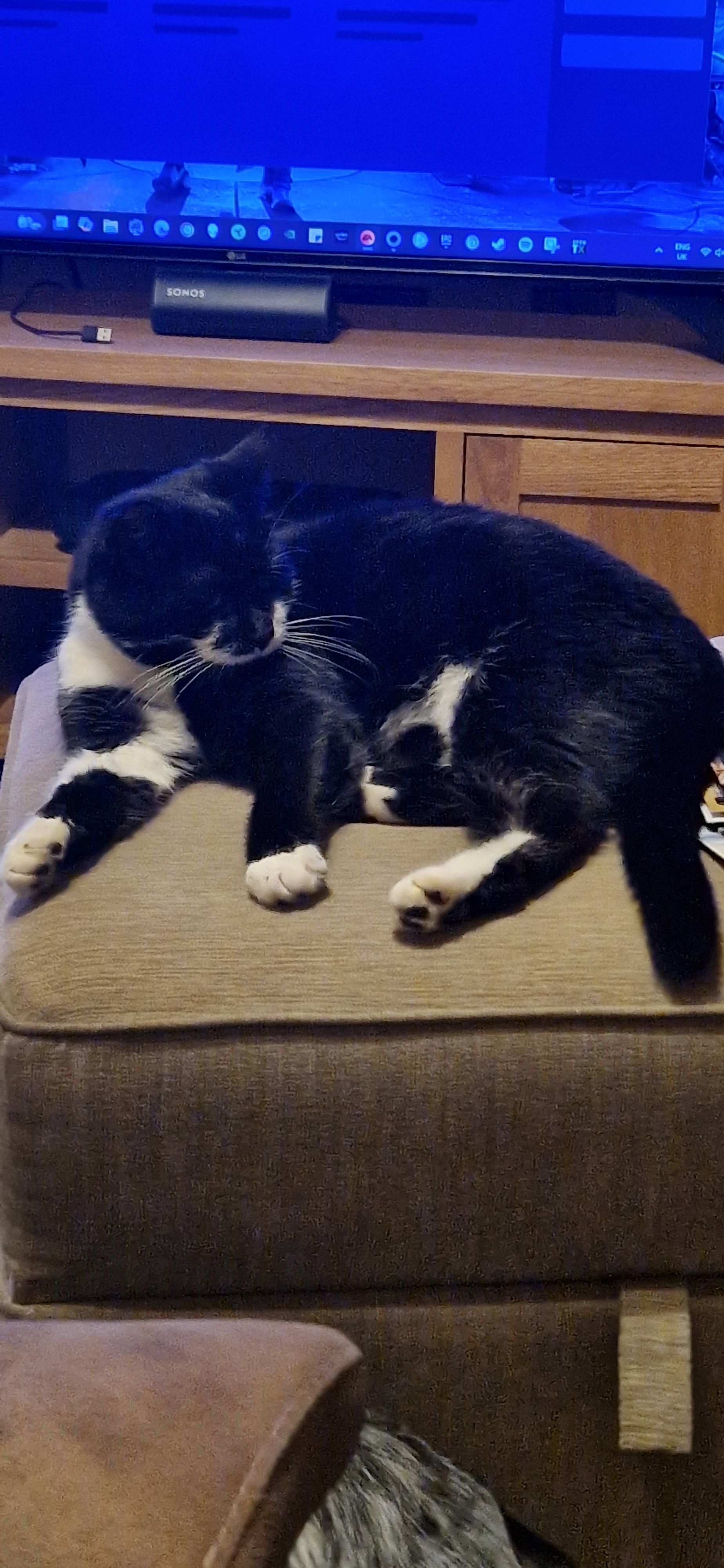 Elle - Lon Deg, Abergele