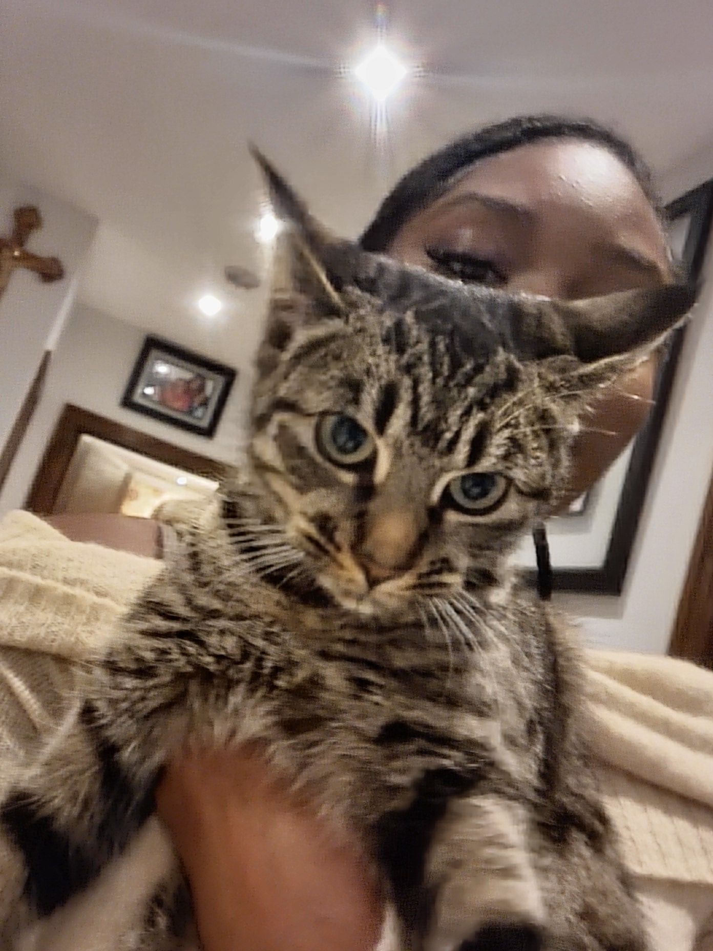 Lola - Hospital, San Lorenzo de El Escorial